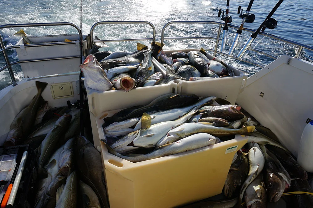 EB Fishing 2.jpg
