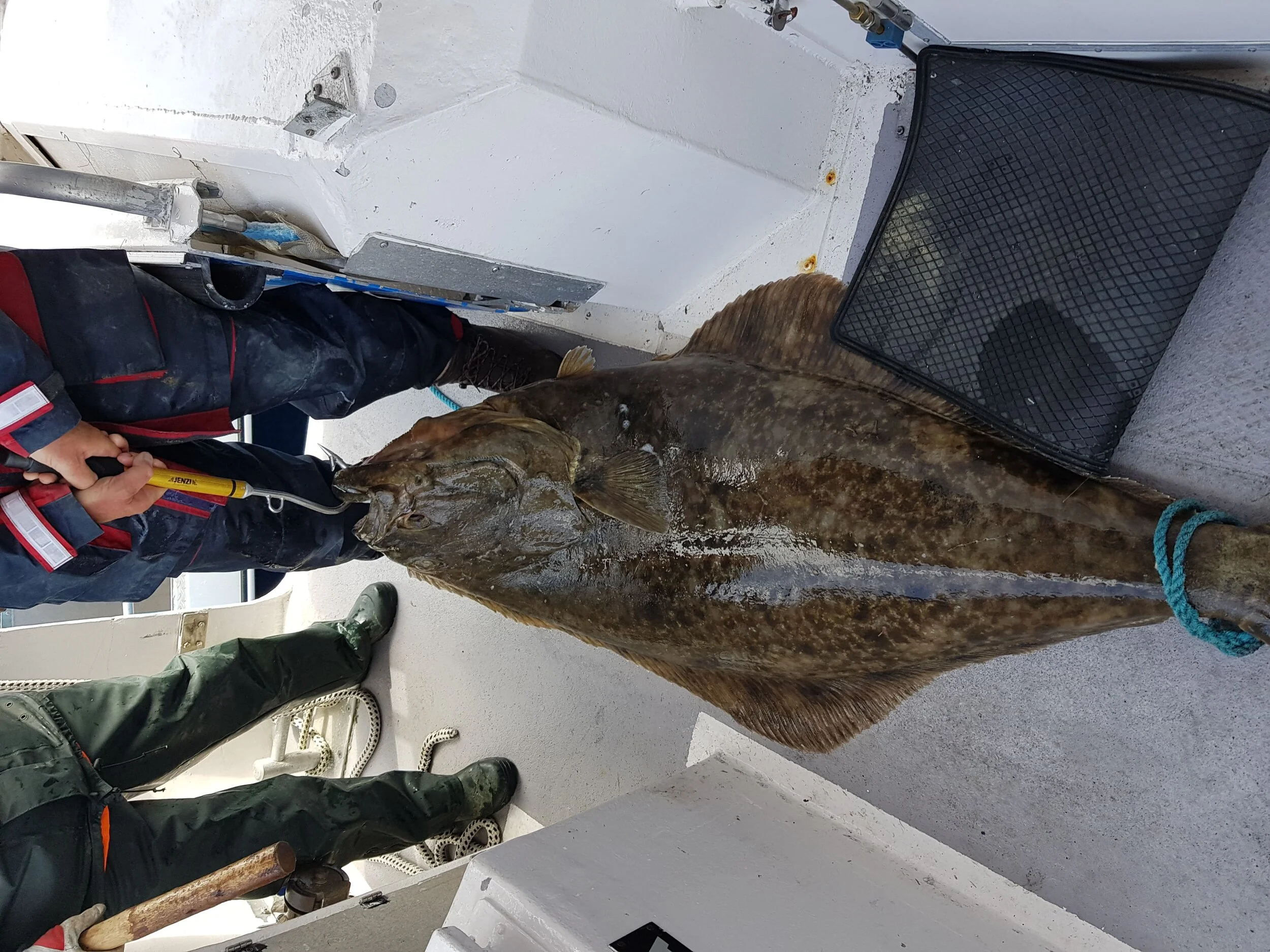 Rent a boat for fishing in Norway : a fishing holiday package