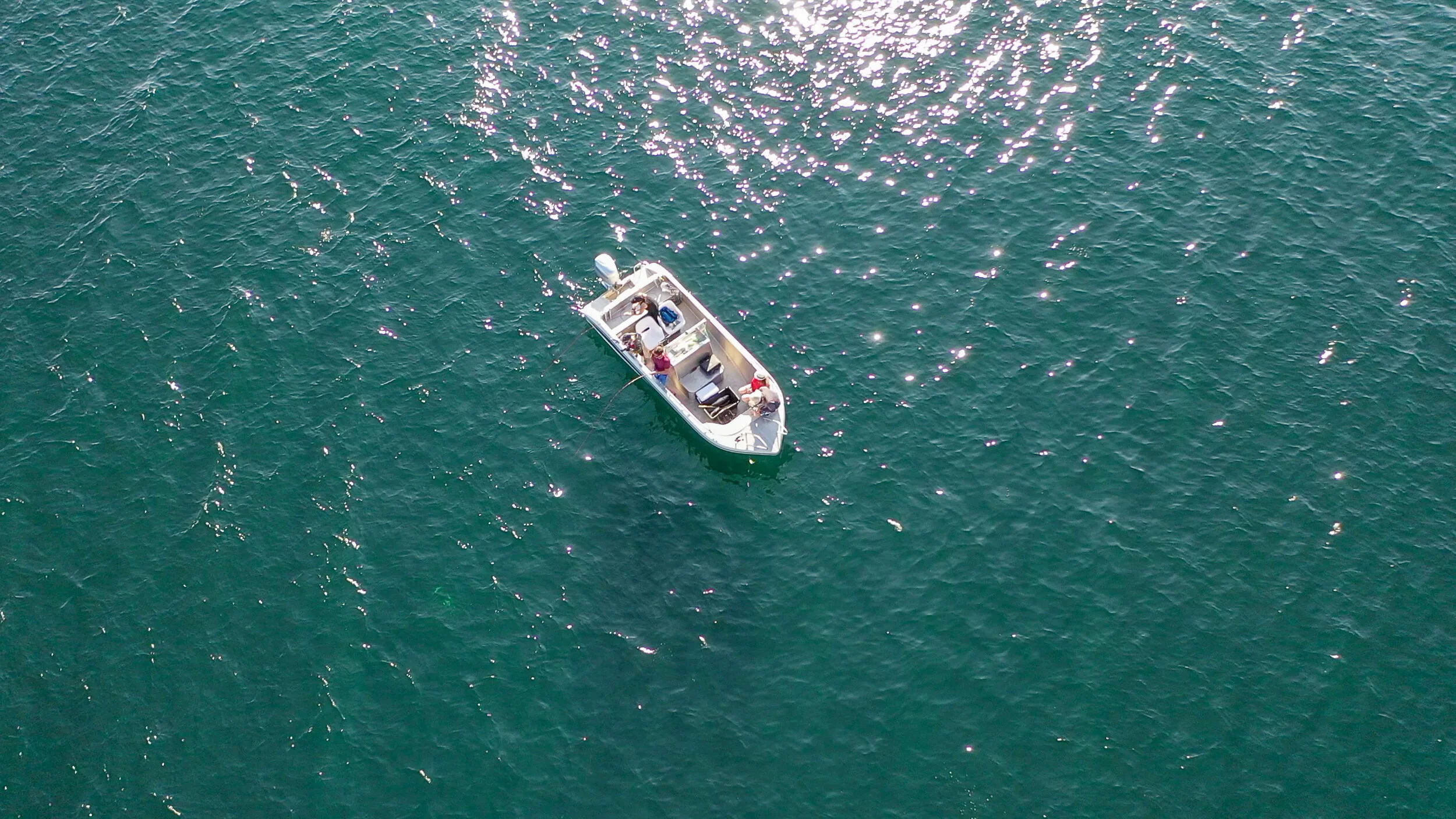 bateau 5-2.jpg