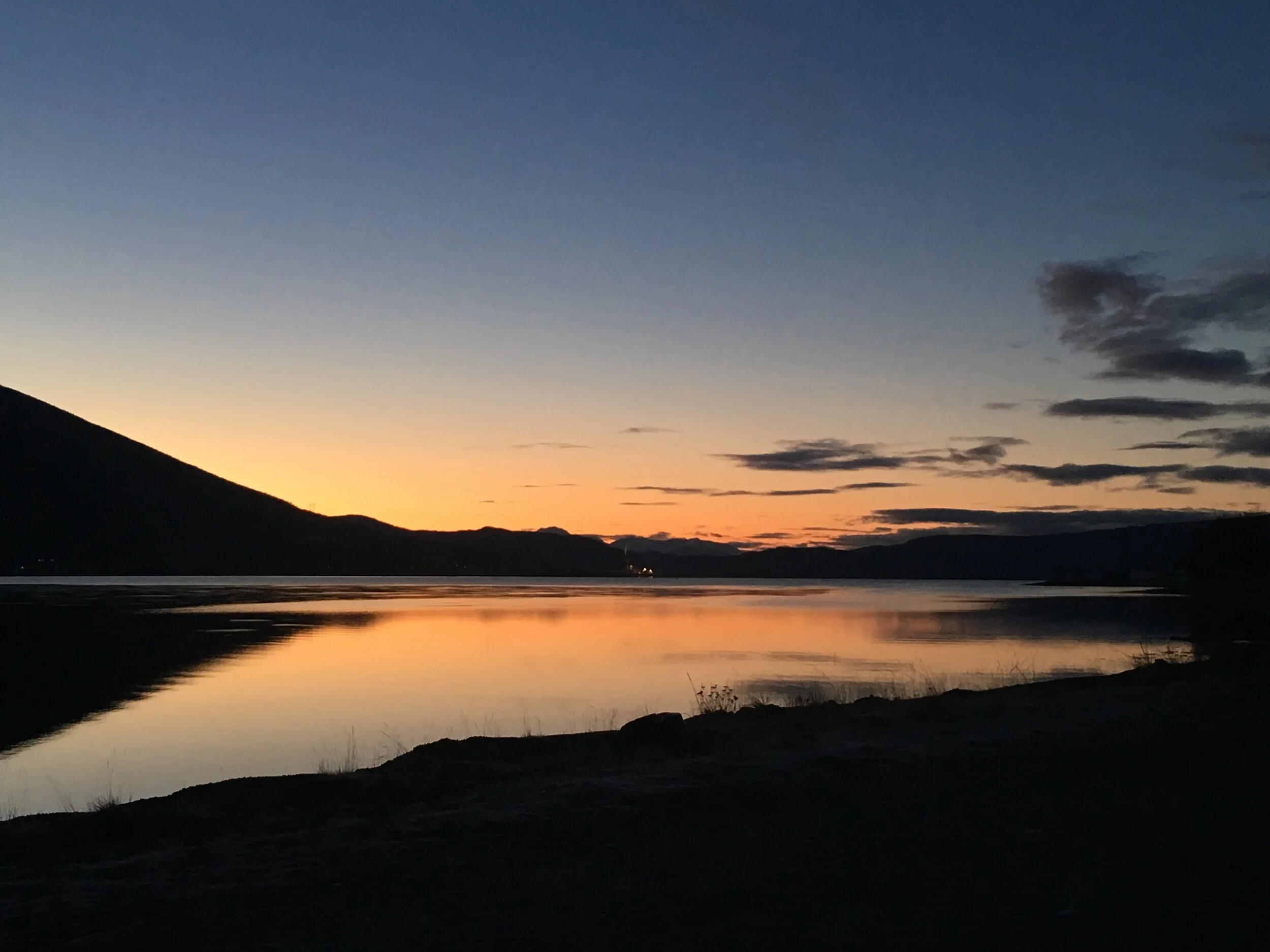 Kvaløya tour: one of the best activity in Northern Norway