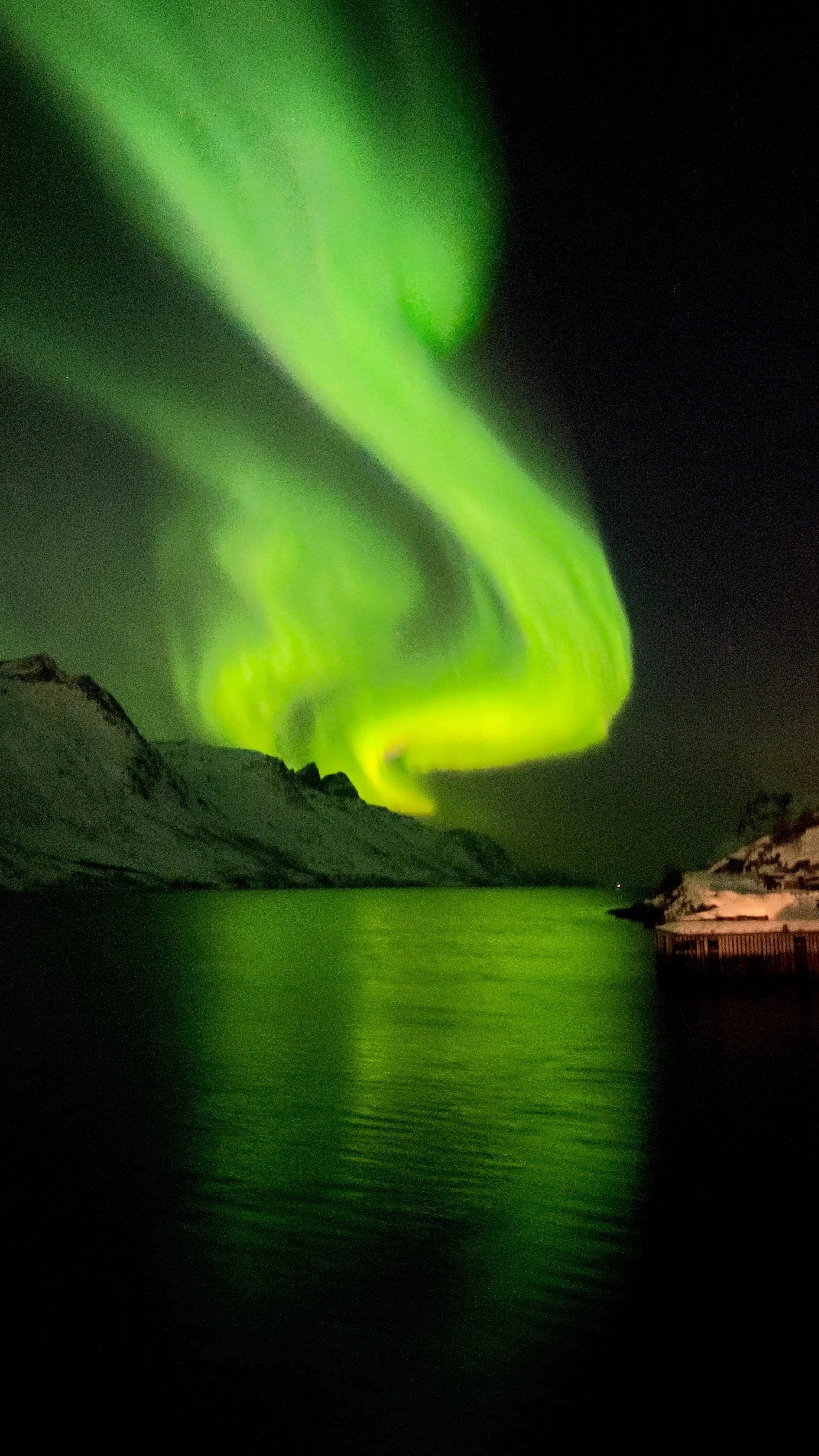 Northern Lights at Ersfjorden