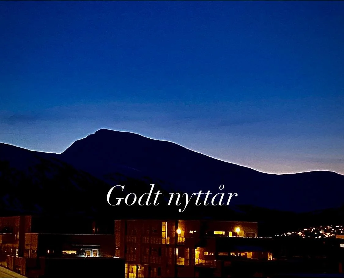 &Oslash;nsker alle et fantastisk Godt nytt&aring;r 💫💥🎆🥂🍾 med Gunn Norvik