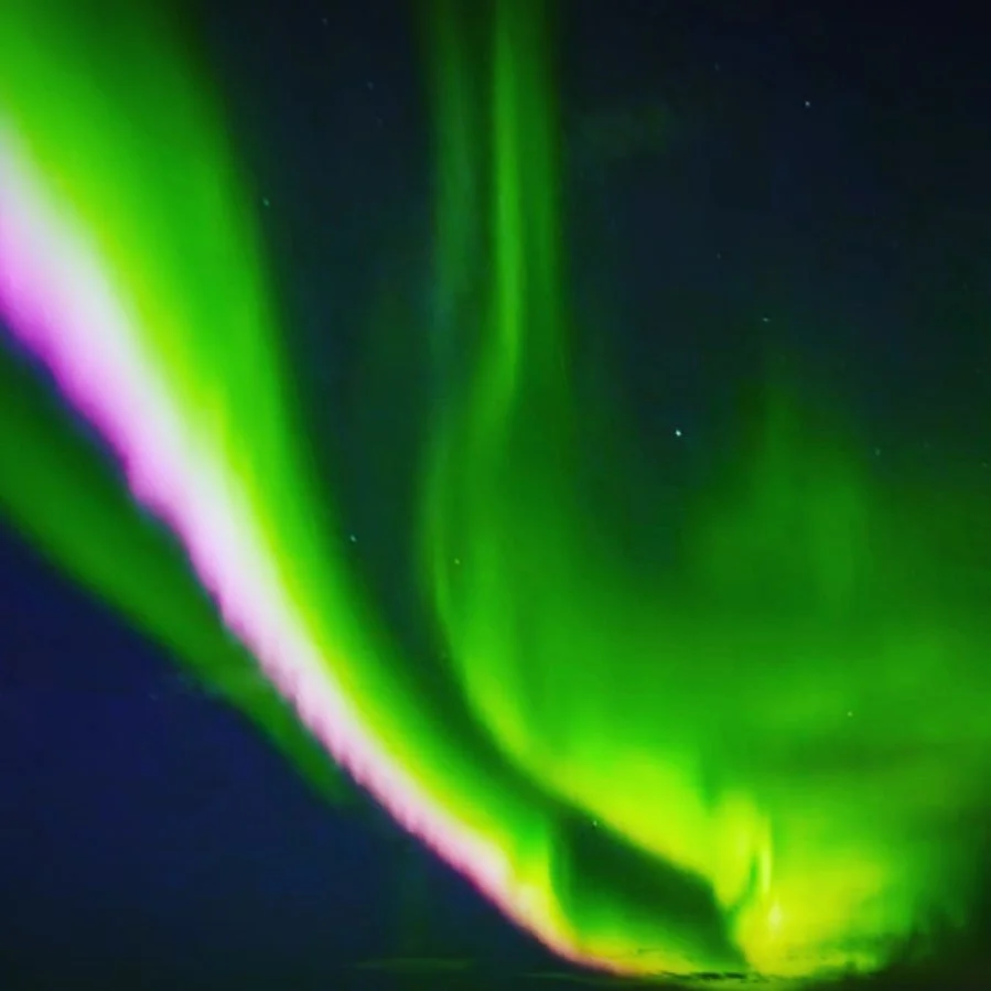 About last night &hellip;. Just whaouuu 🍾👌 join us www.Ersfjordbotnbrygge.no #nordlys #northernlights #arctic #troms&oslash;