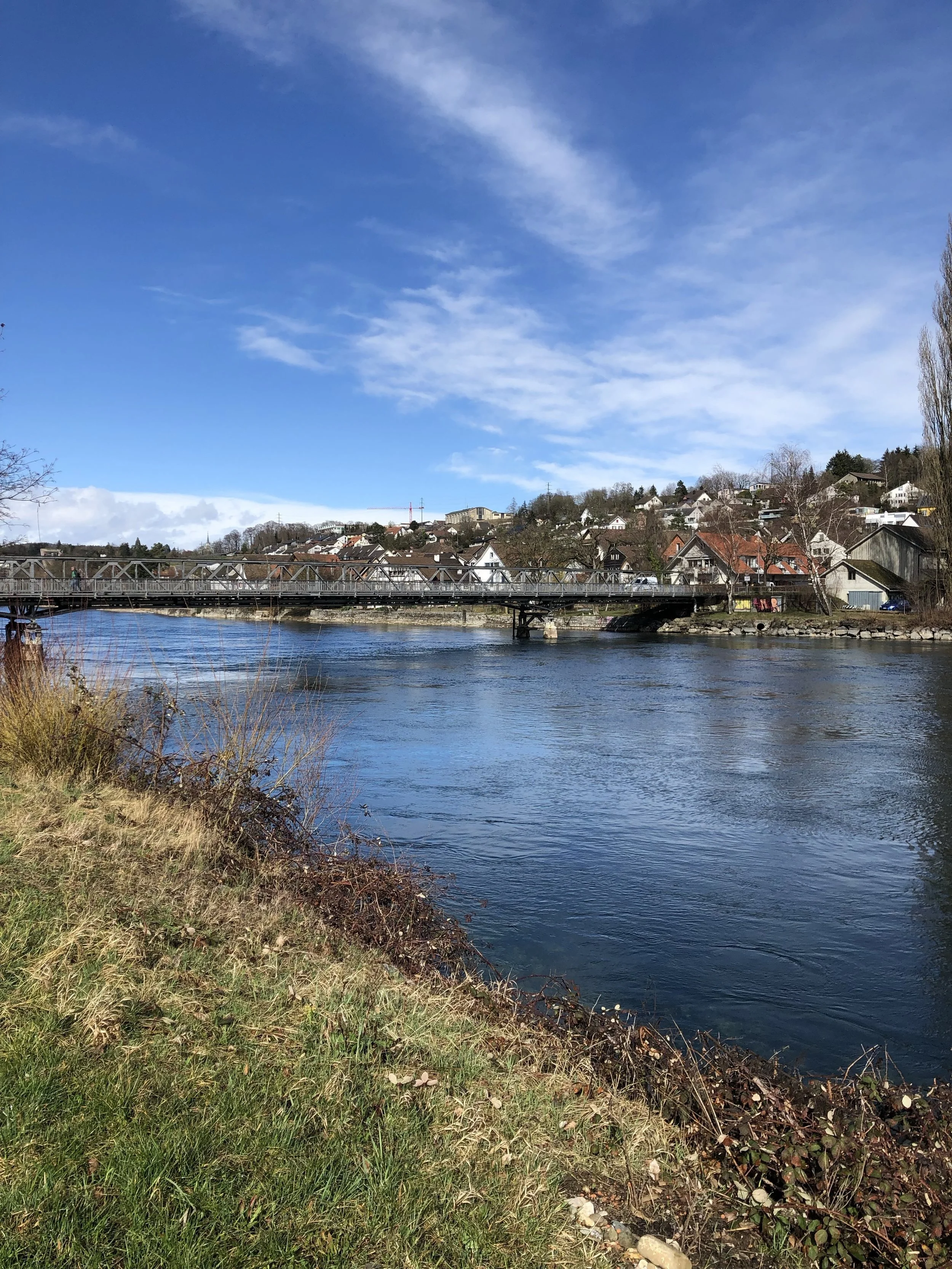Der Rhein (Foto: zvg.)