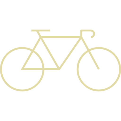 competition-bicycle (1).png