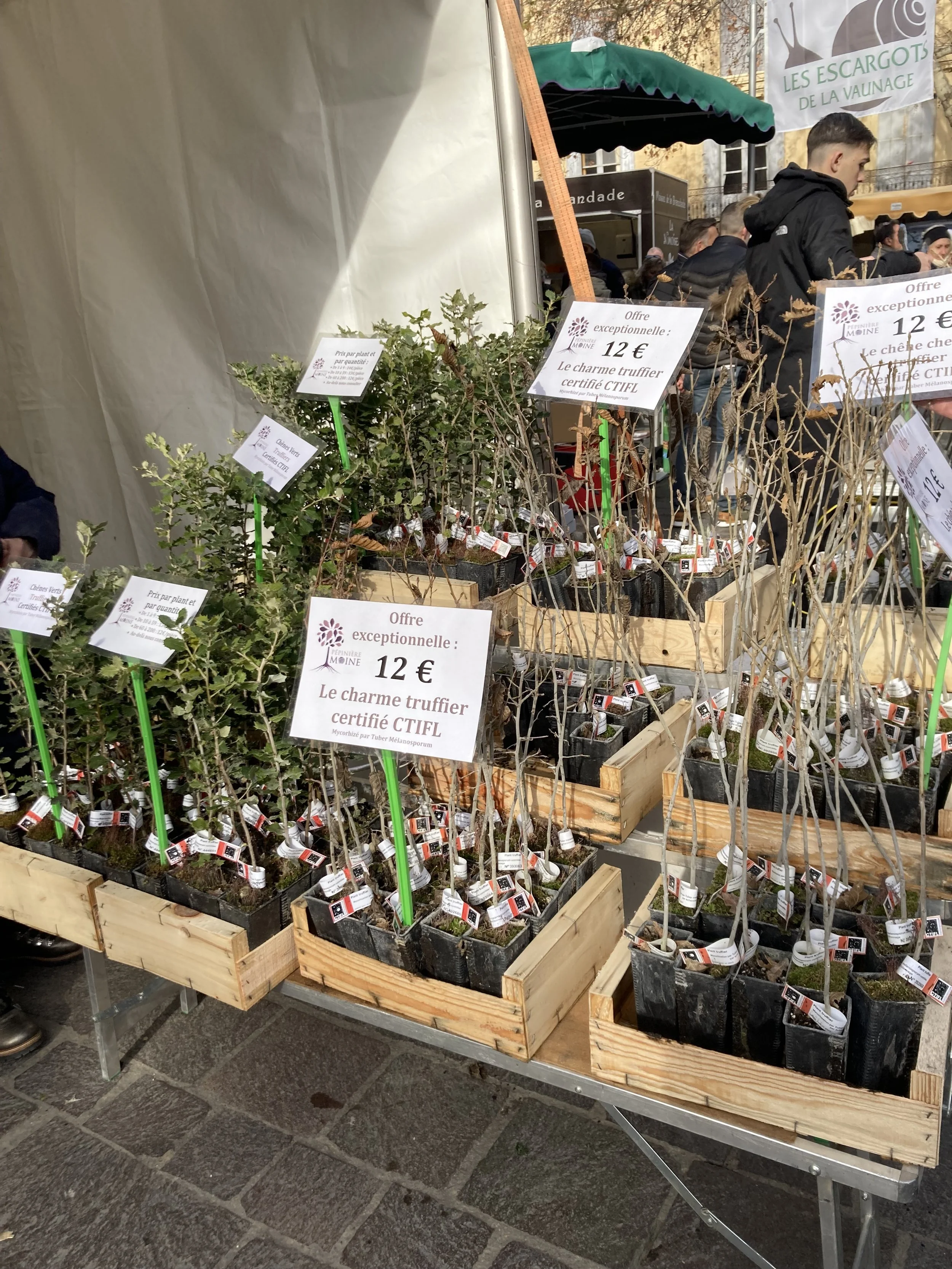 ...for next year | Uzès Truffle Festival | January 2026