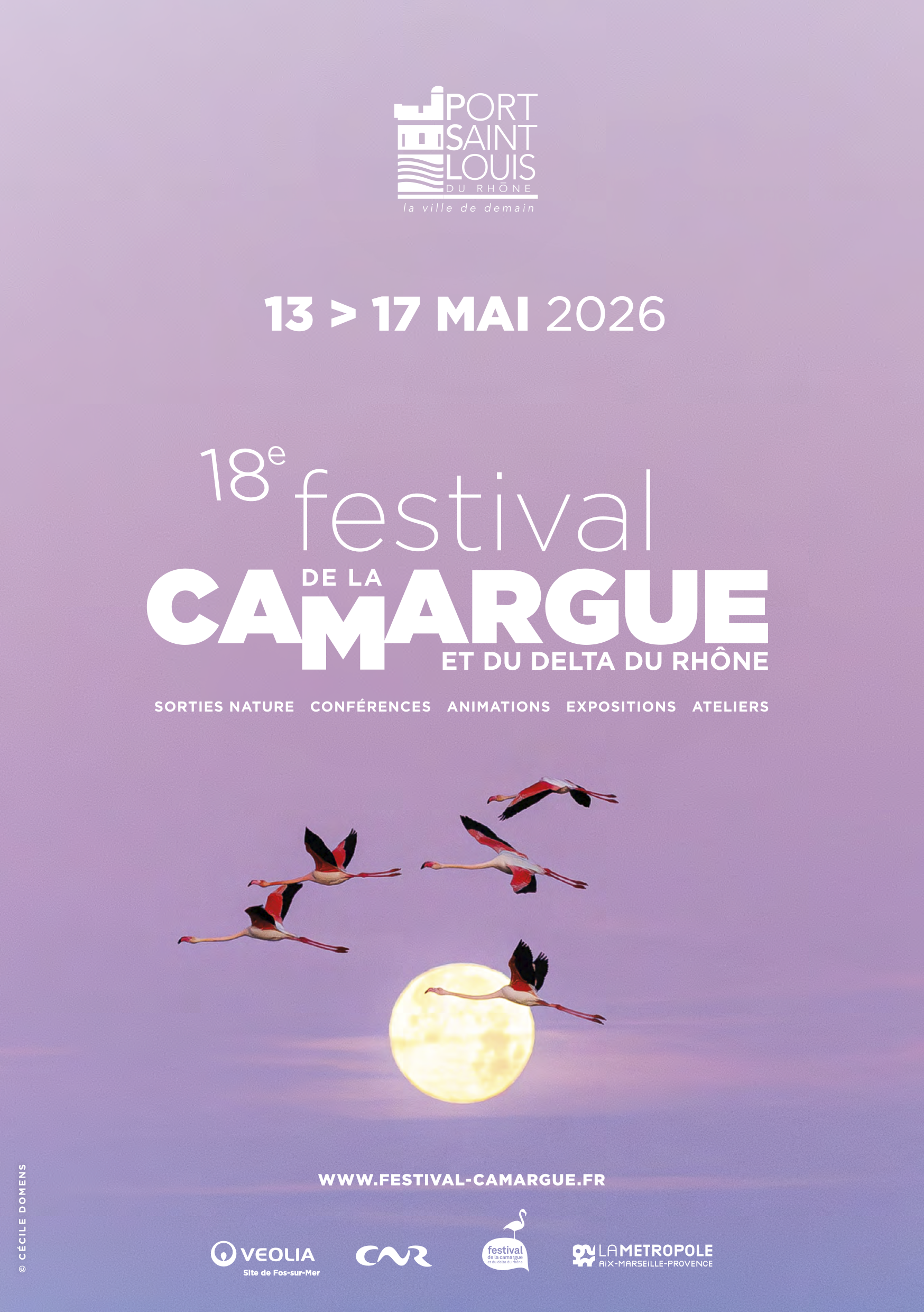 Golden Sun on pink sky behind flying flamingos. Text reads in French language: 18th Festival of The Camargue and Rhône Delta with further details.