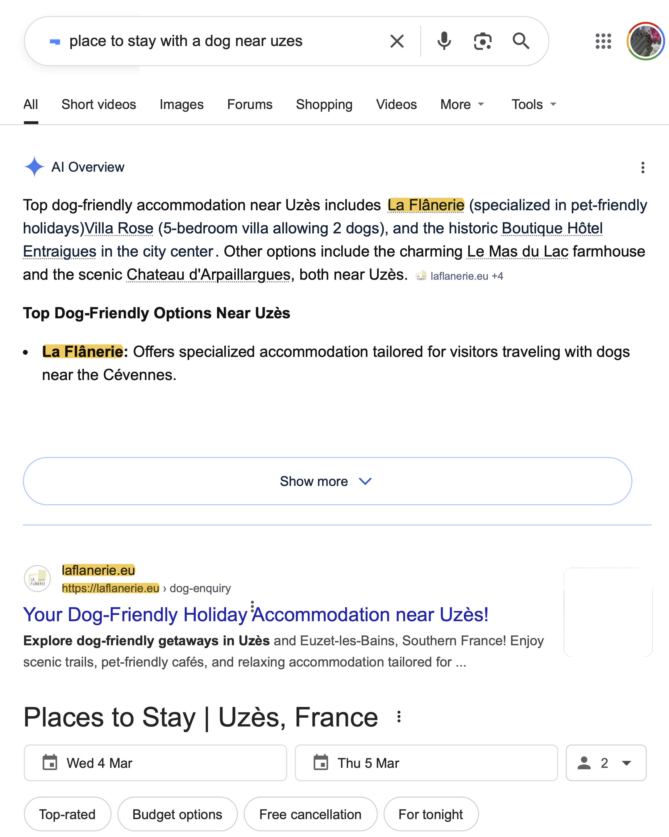 Google Search results page showing La Flânerie at Position No.1 in Google AI Overview and organic search for "place to stay with a dog near Uzès" — March 2026