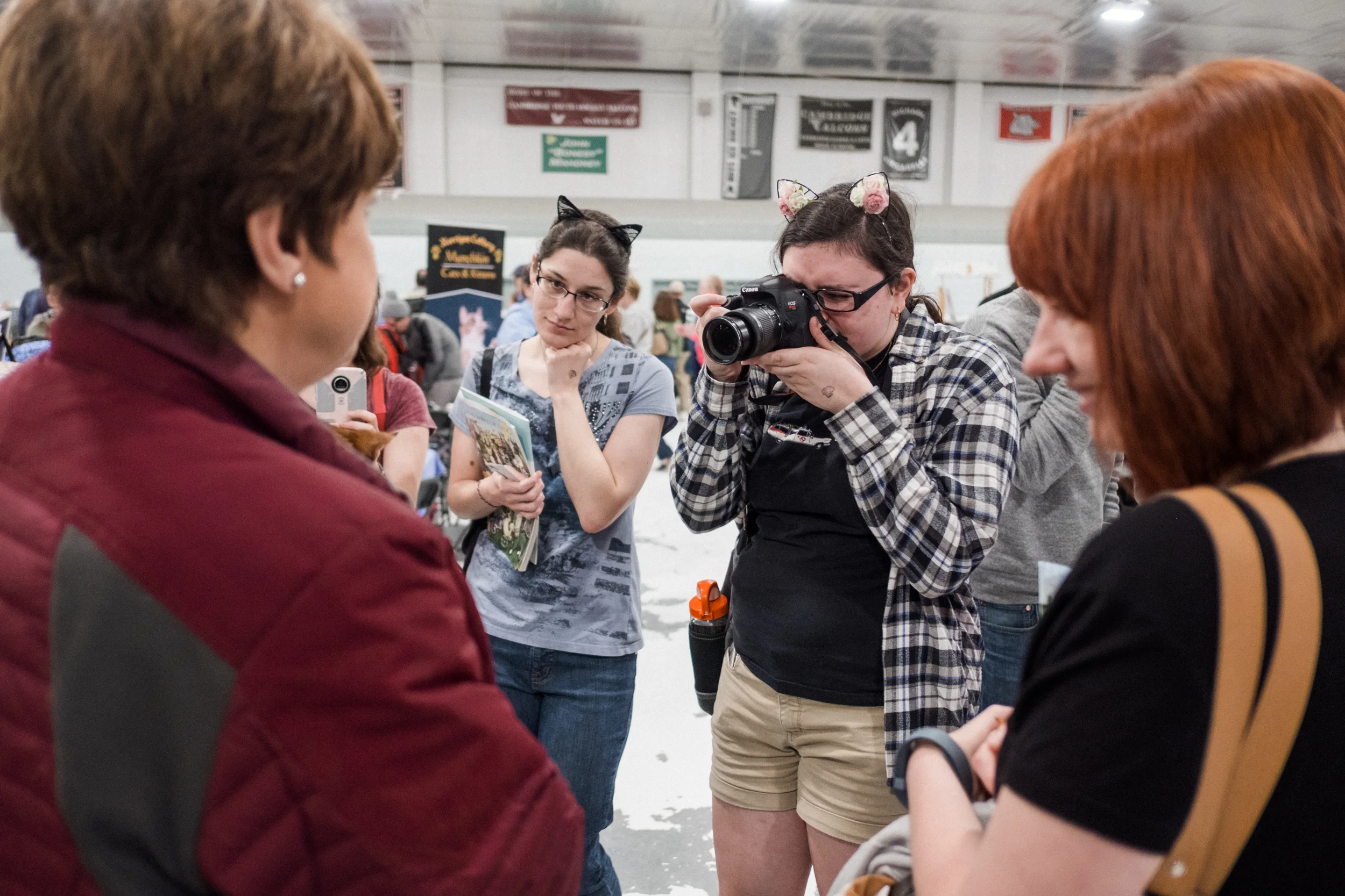 Cat Show-4.jpg