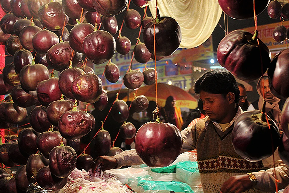 India_7898_sm.jpg