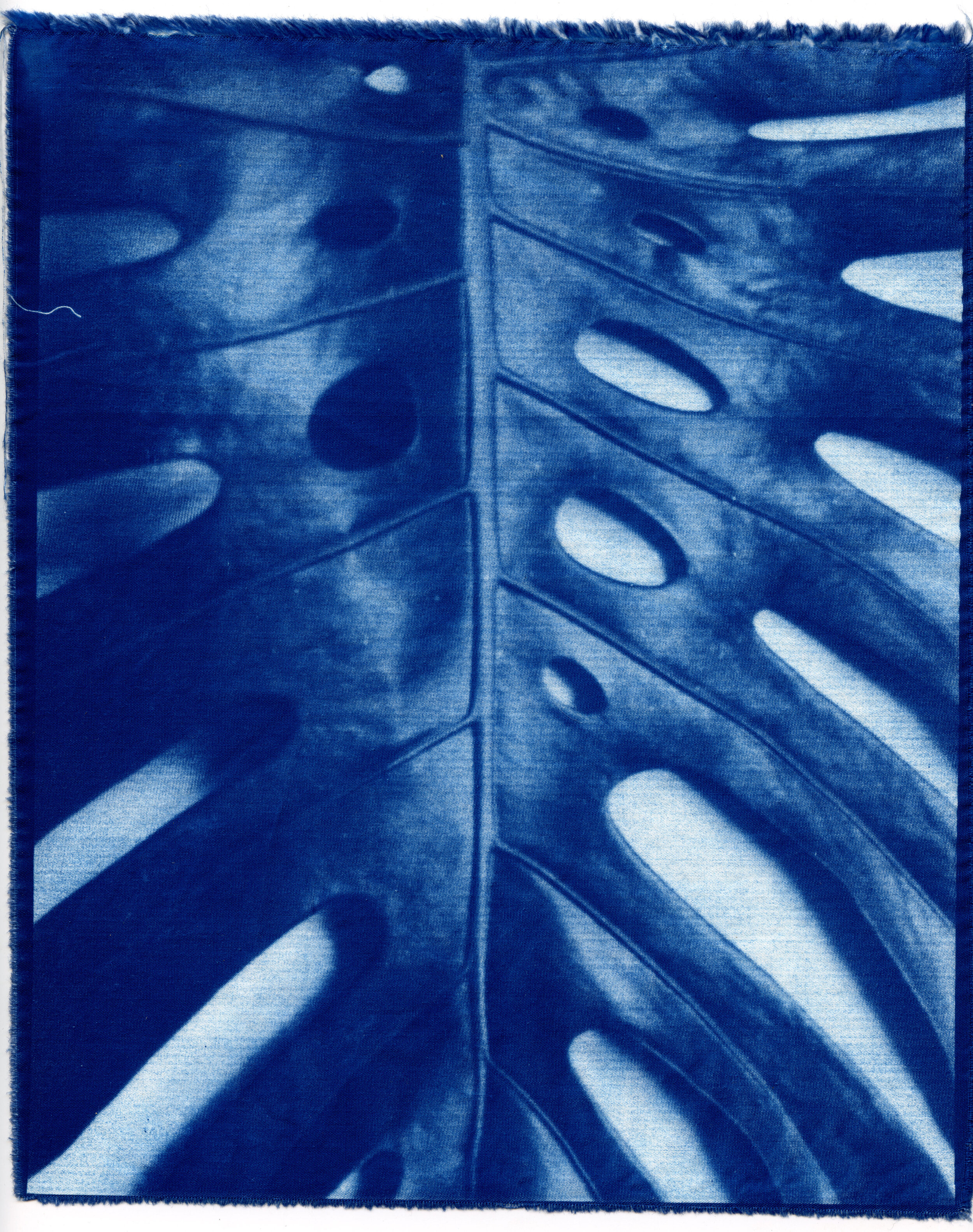 Cyanotype_2020_02.jpg