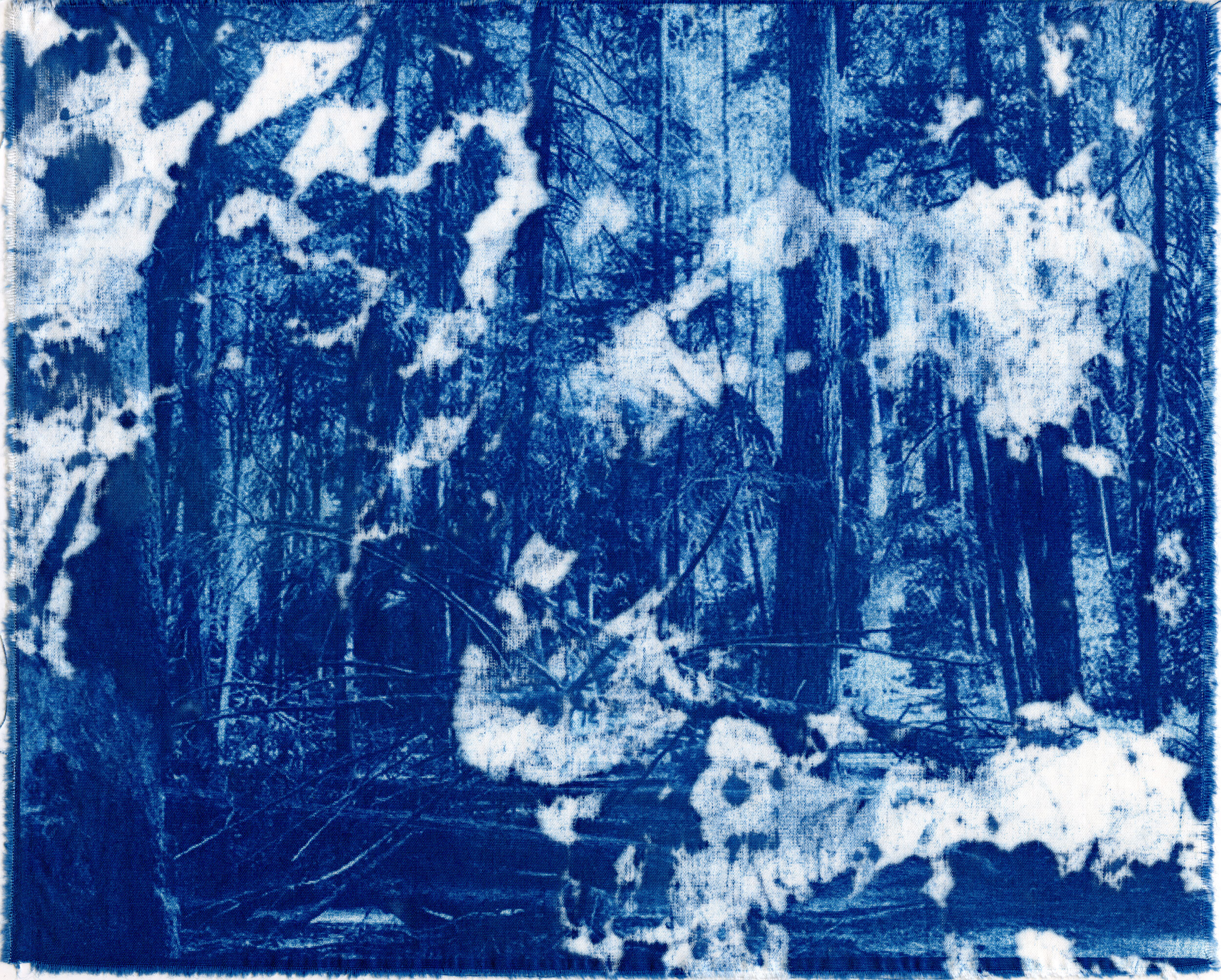 Cyanotype_2020_11.jpg