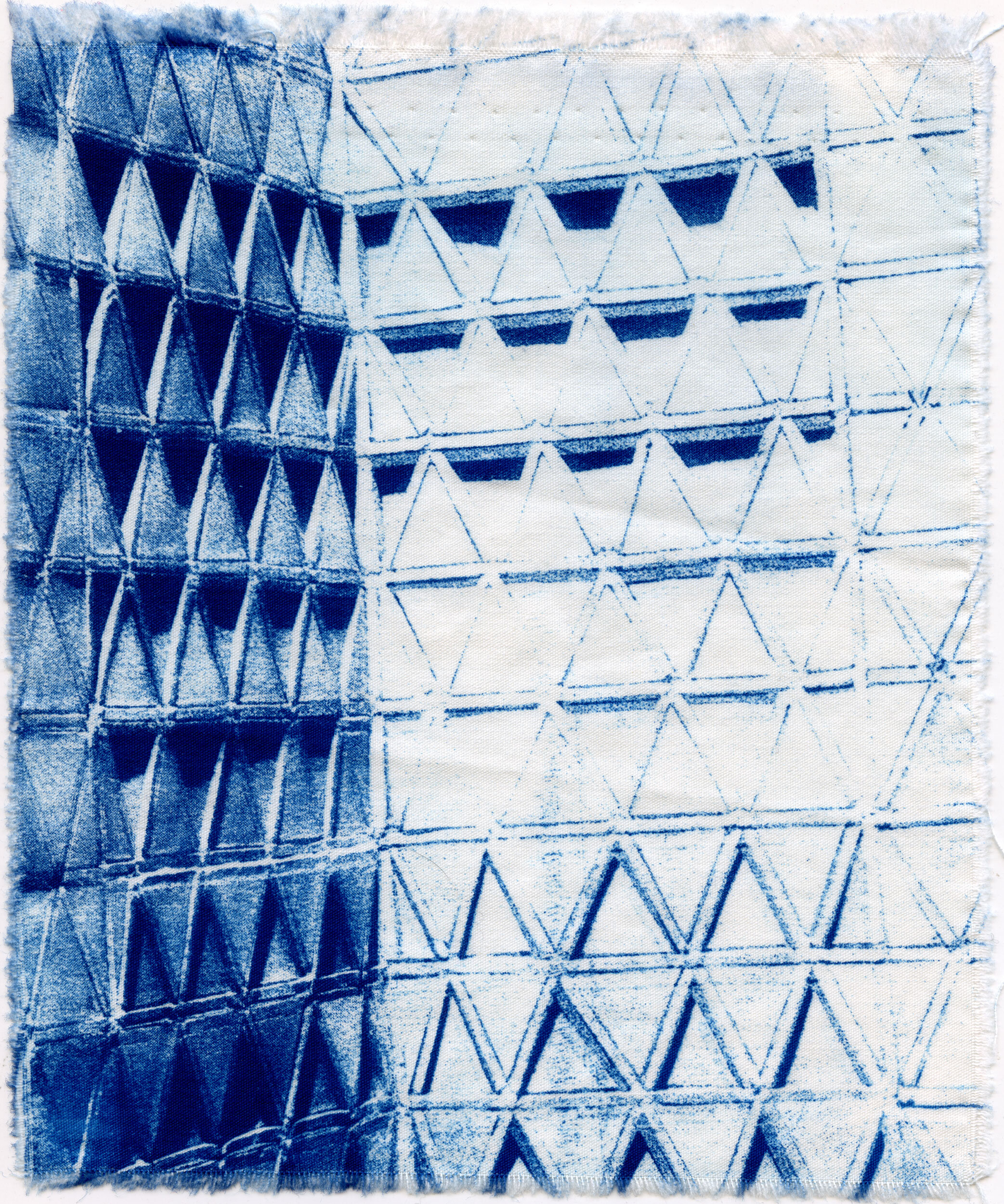 Cyanotype_2020_14.jpg