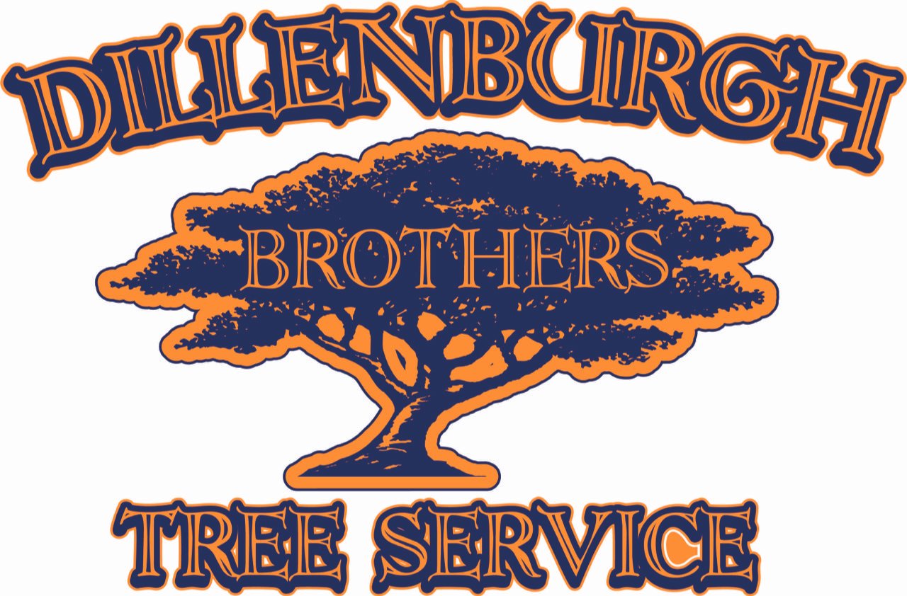 dillenburg tree service.jpeg