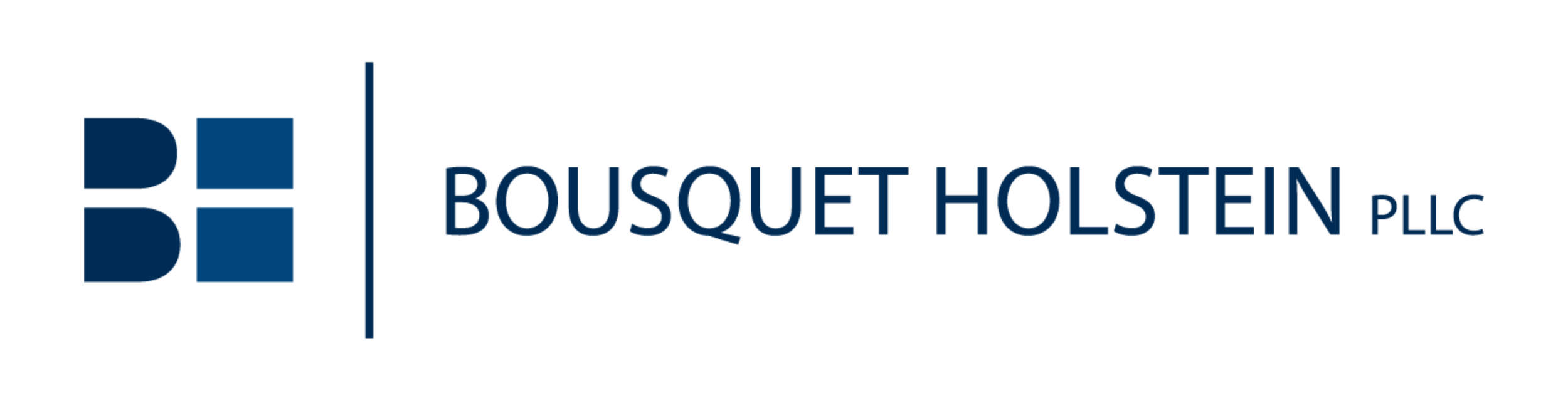 BH Logo Blue.png