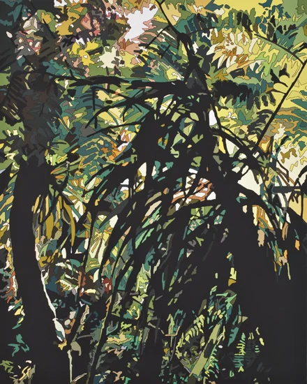 Emerald Forest