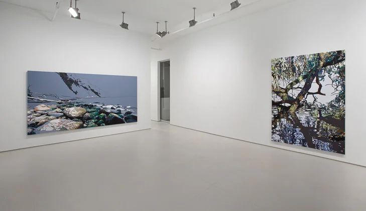 2005 Solo Show, Elizabeth Dee Gallery NYC