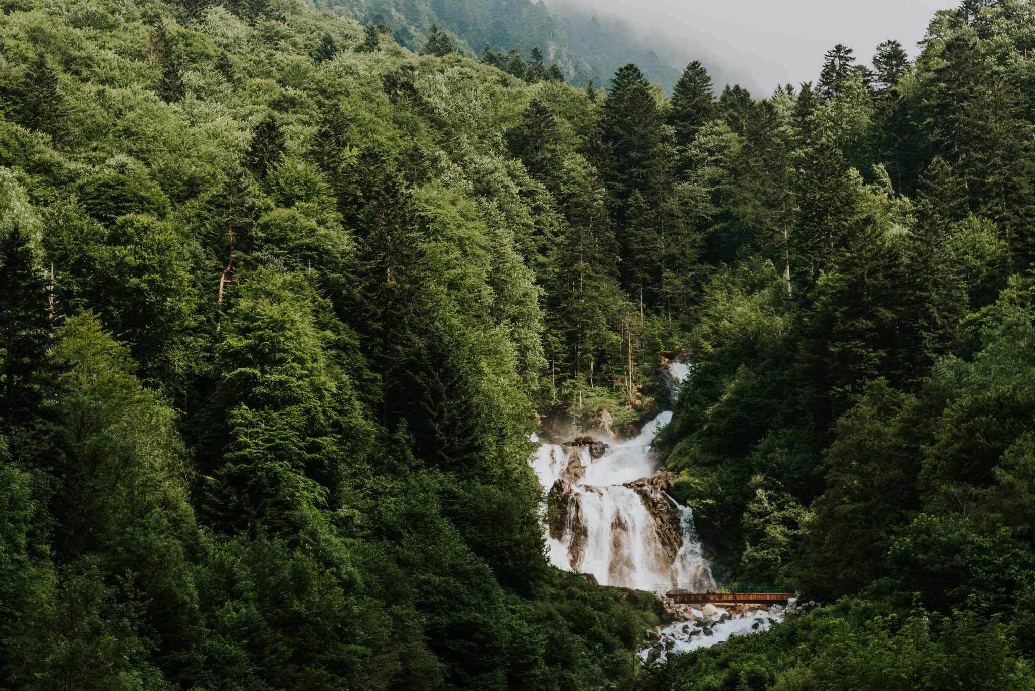 Landscape-CA-6.jpg