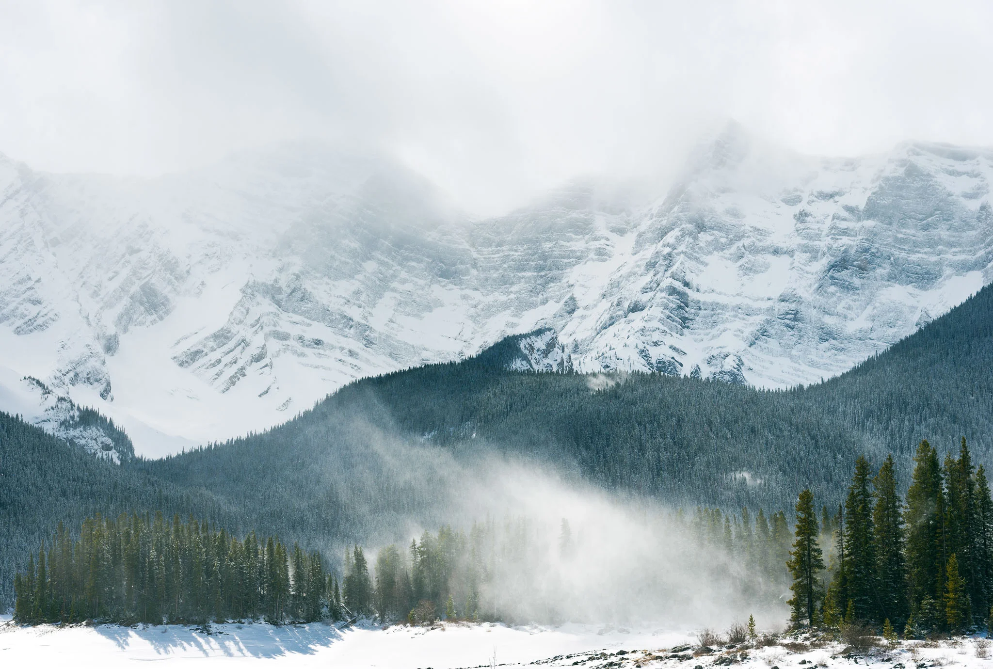 Landscape-CA-13.jpg