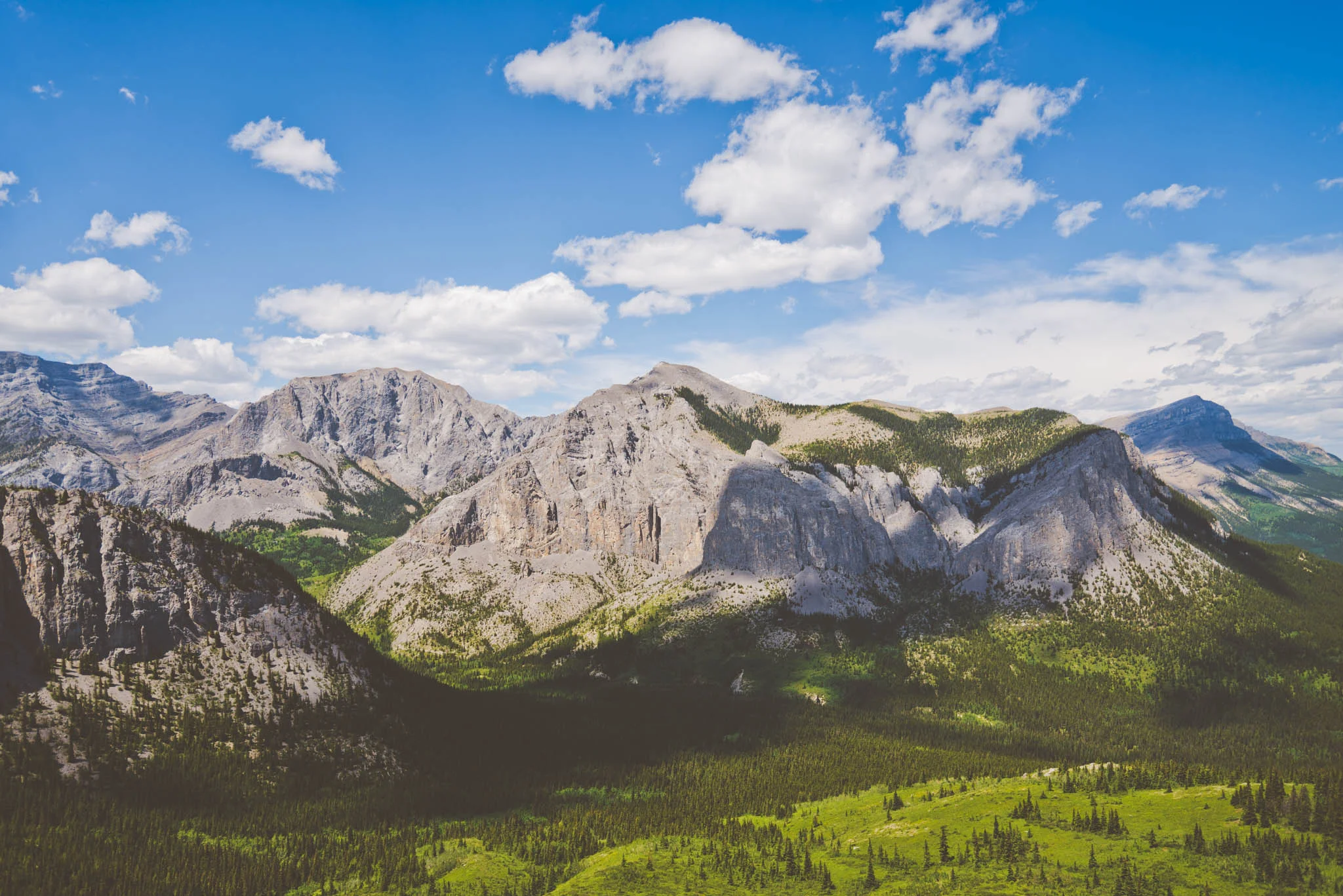 Landscape-CA-19.jpg