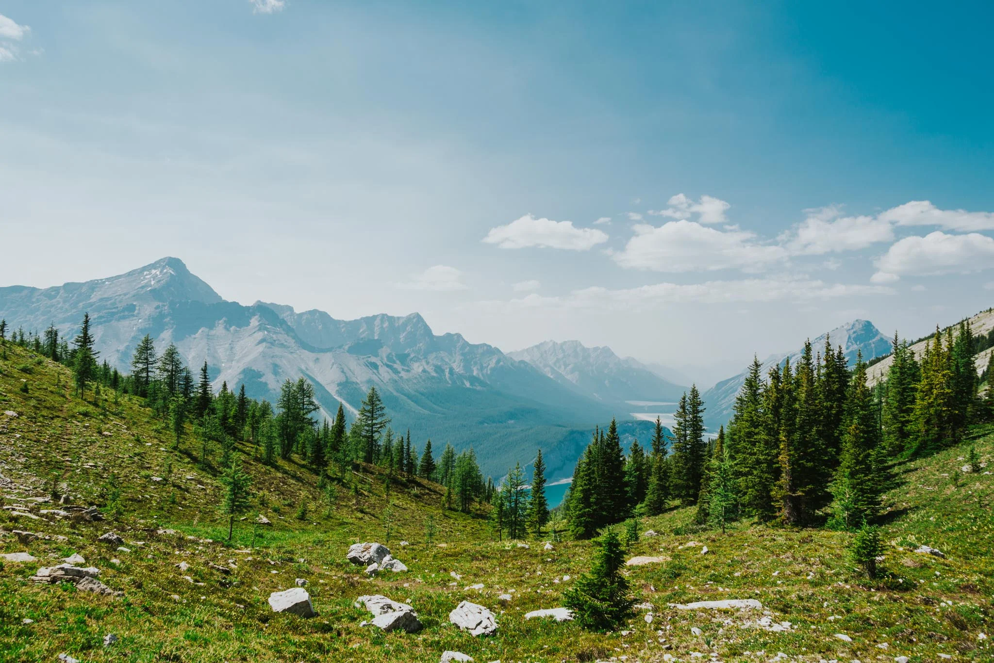 Landscape-CA-21.jpg