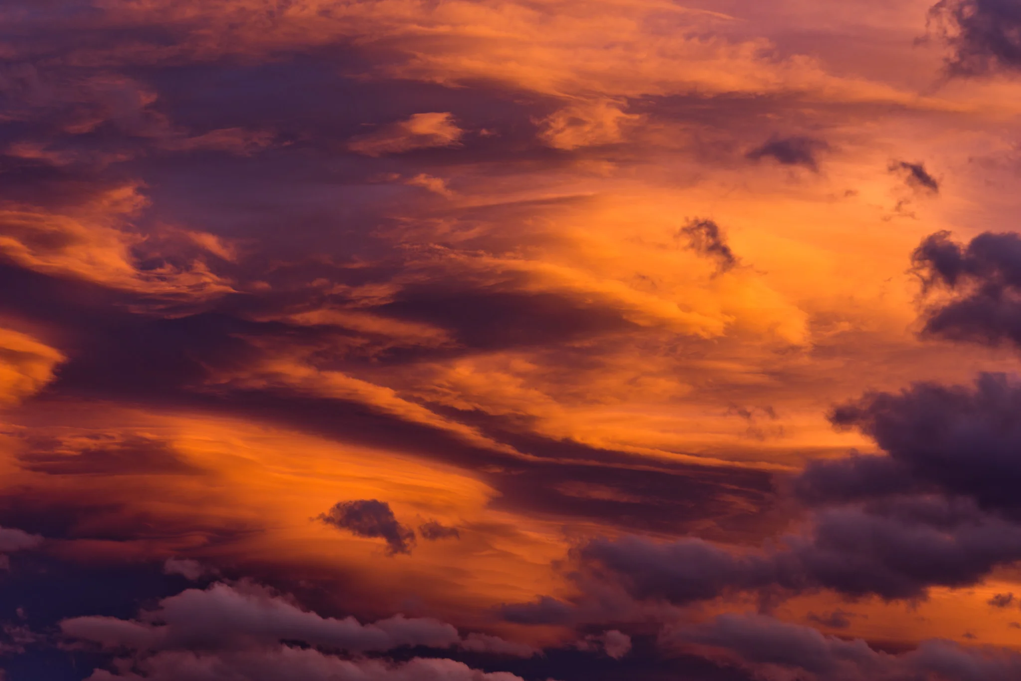 Landscape-CA-40.jpg