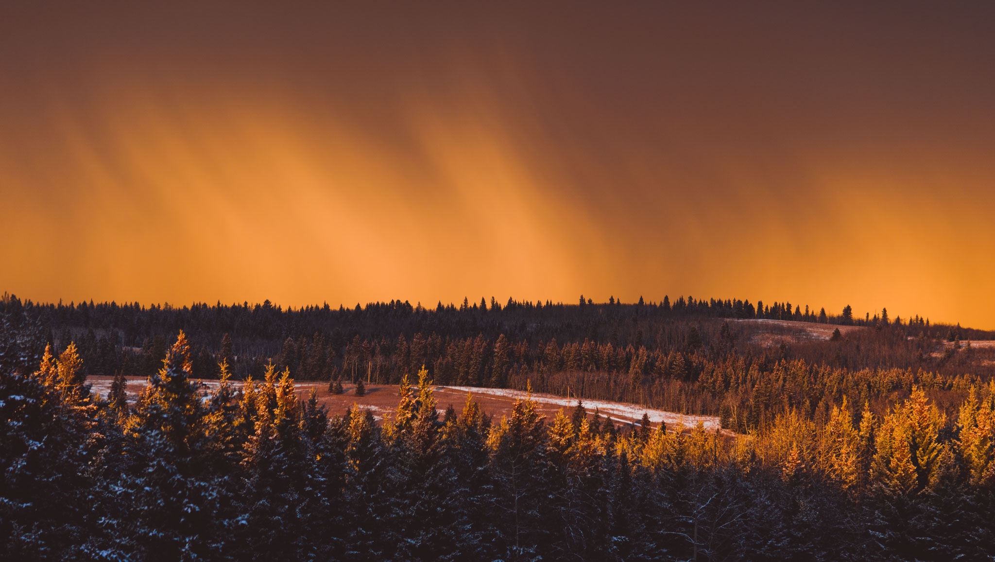 Landscape-CA-43.jpg