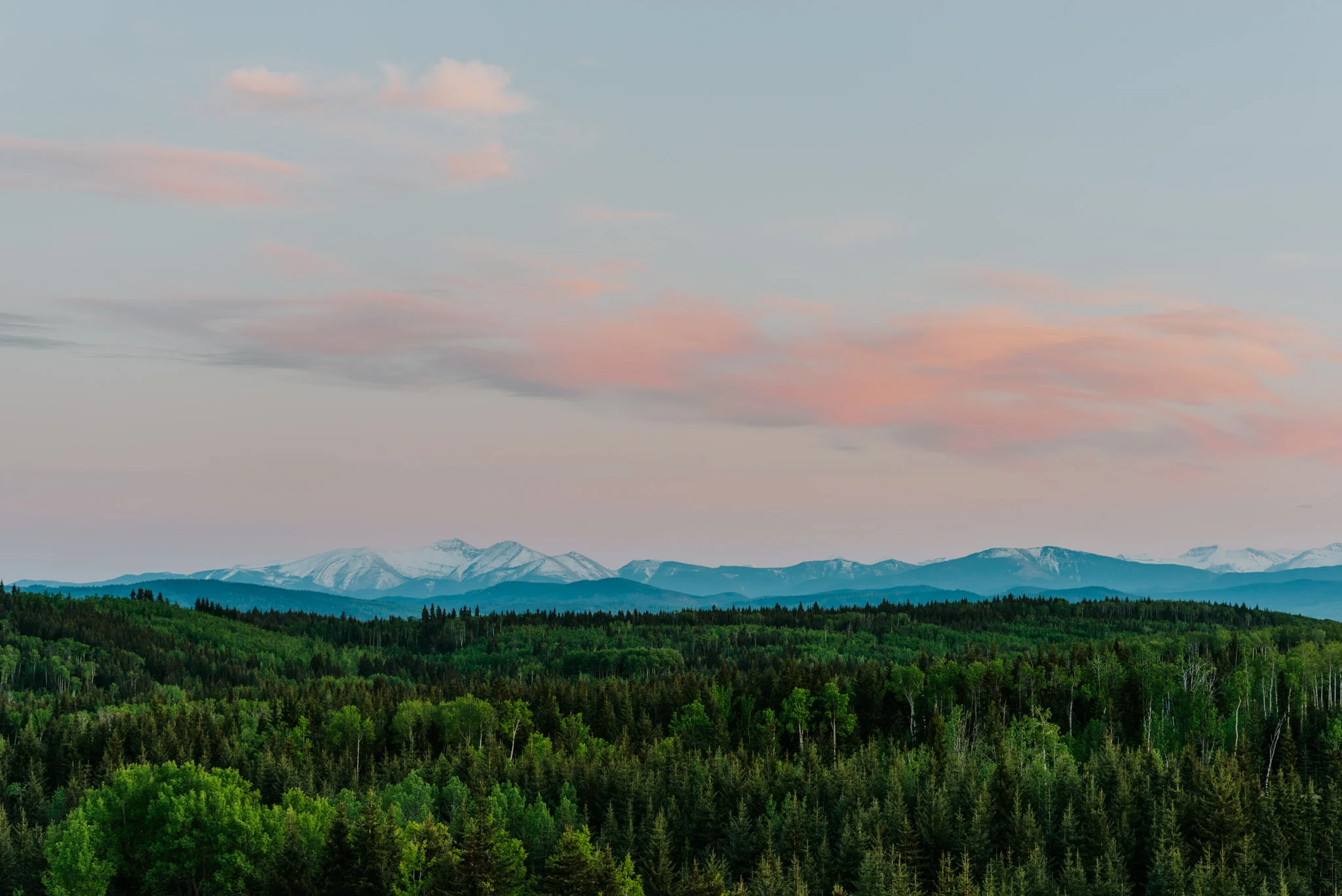 Photo by Célestine Aerden