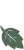 LeafRightColorLIGHTGREEN.jpg