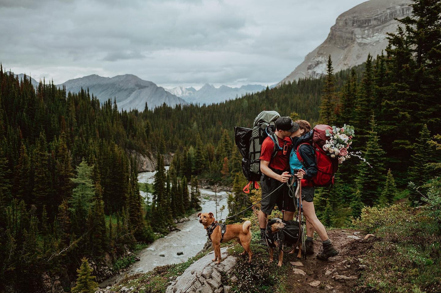 My friend @domcarson reminded me that I haven&rsquo;t posted in a while, so I thought it would only be fitting to share another photo from their backpacking elopement a few years ago!

I know I&rsquo;ve been MIA again for a while, but I&rsquo;ve been