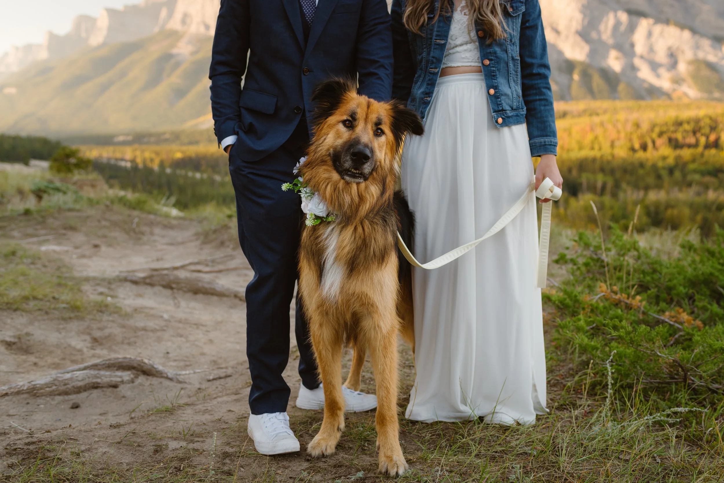Madison-Callias-Banff-Sunrise-Elopement-12.jpg