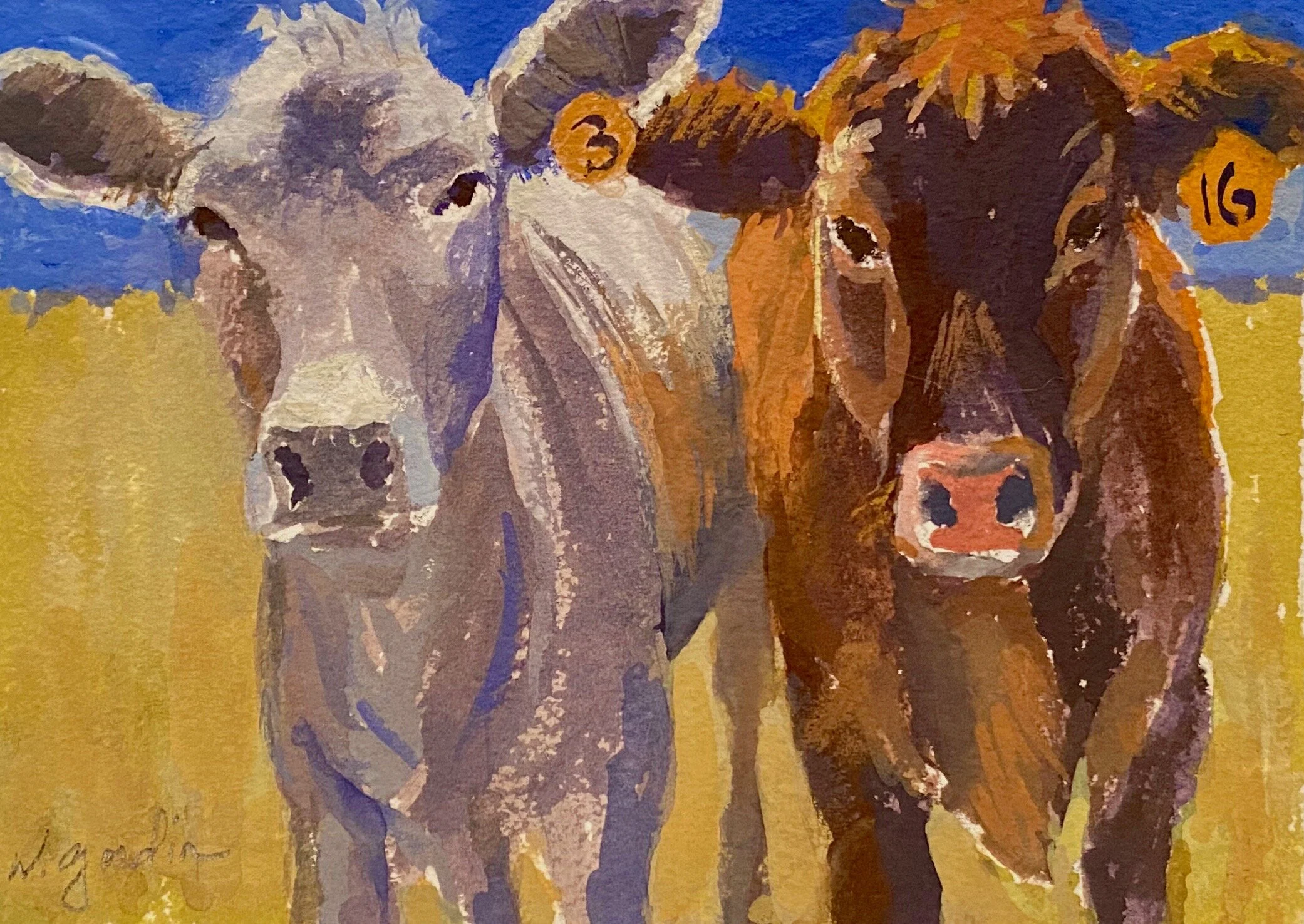  “Two Cows”  6x8   Gouache 