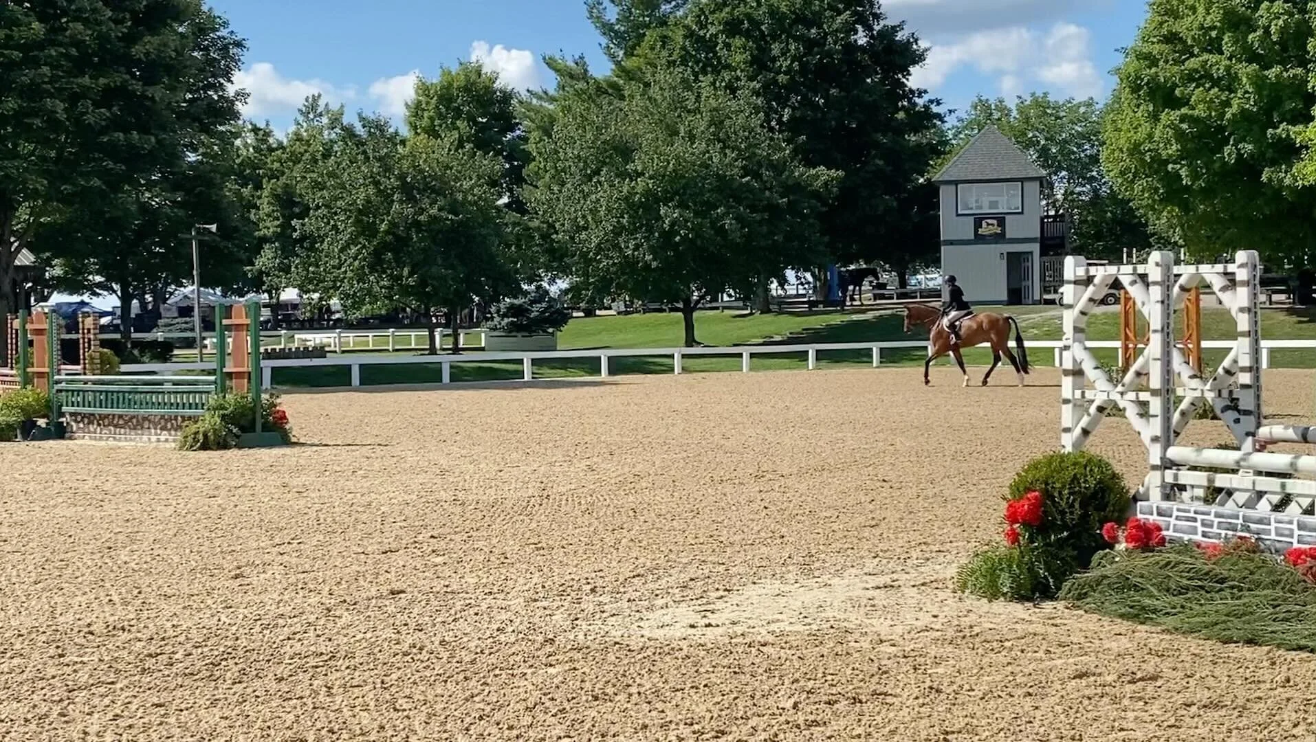 Cloud Nine Farm, Midway KY, riding lessons and boarding