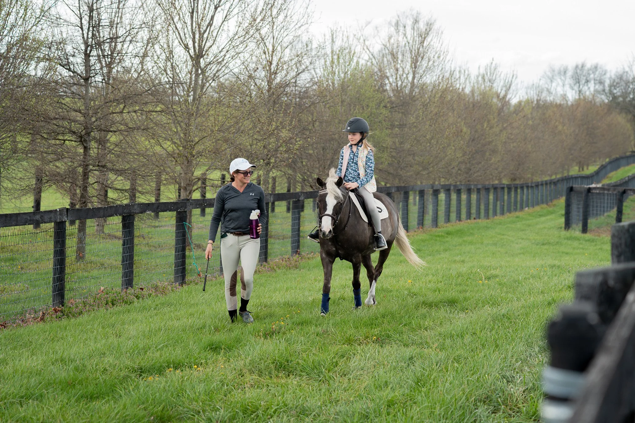 riding lessons and boarding horses