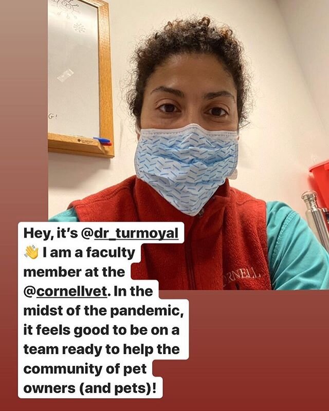 Hey, it&rsquo;s @dr_turmoyal, I am a faculty member at the College of Veterinary Medicine at Cornell. In the midst of the pandemic, it feels good to be on a team ready to help the community of pet owners (and pets)! Join me for a snapshot of my #quar