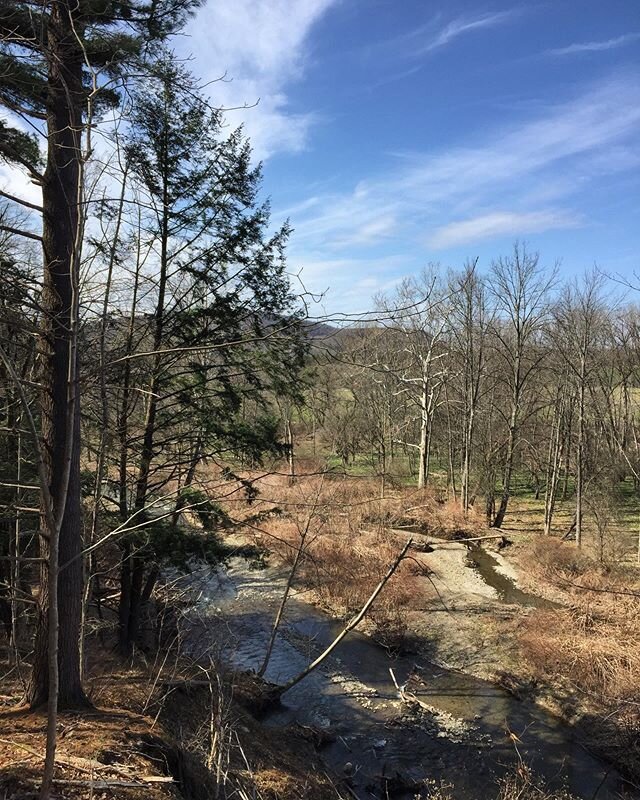 Who has tried the new &amp; improved trail across from the purple #boicevillecottages? The trail winds its way by Six Mile Creek 😍