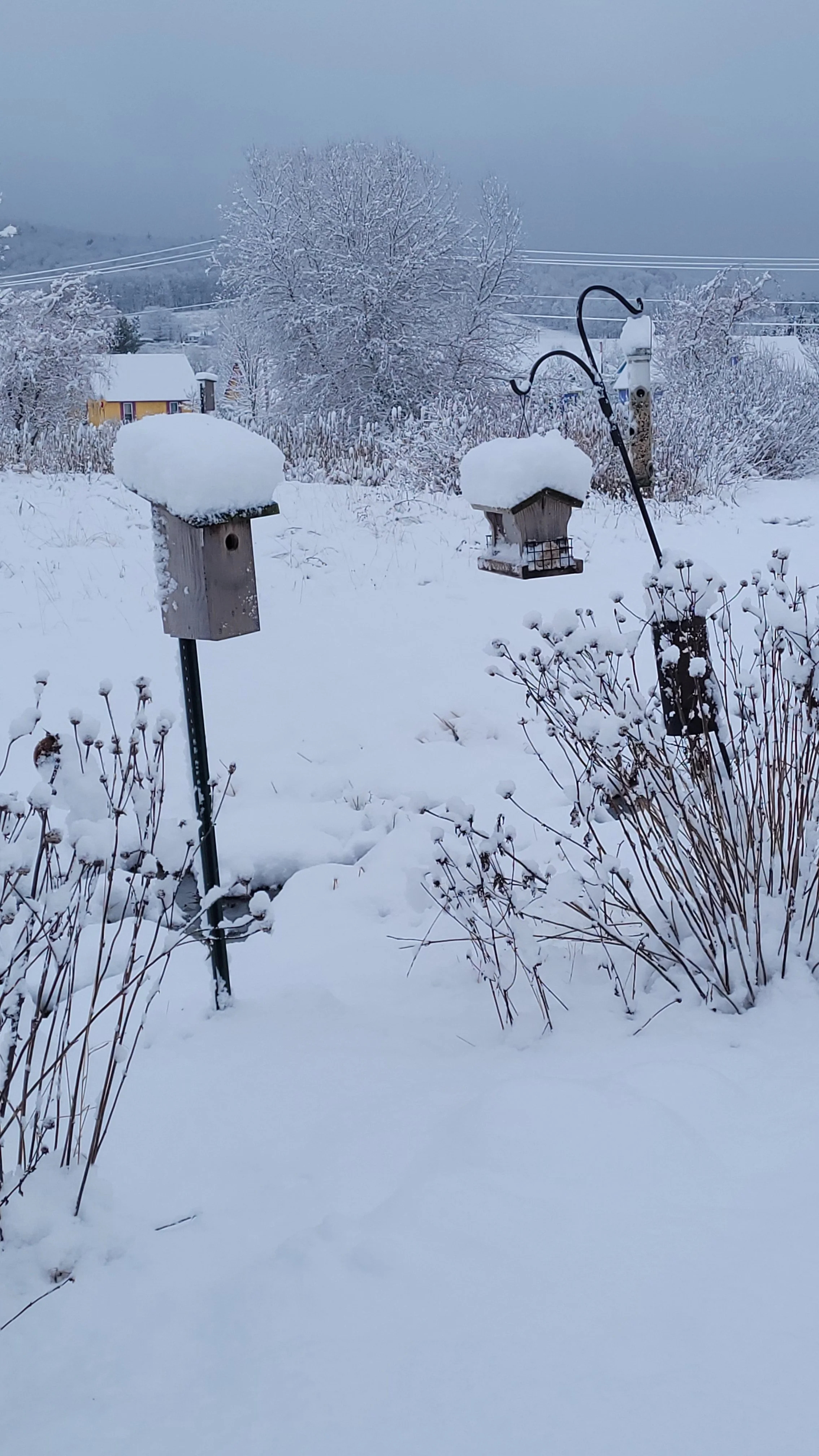 Barbara Roth-Chapman 1.jpg