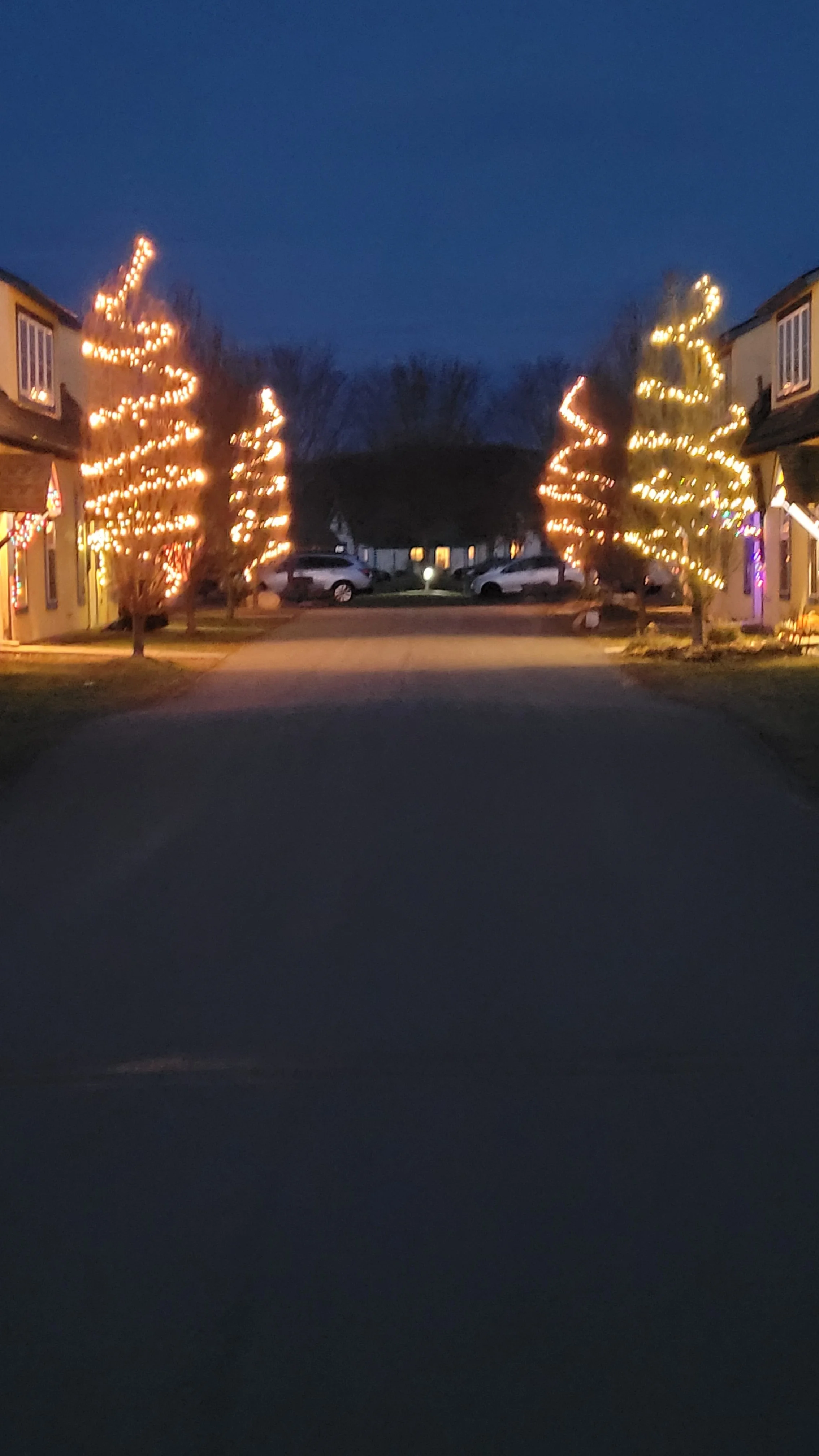 Barbara Roth-Chapman 2.jpg