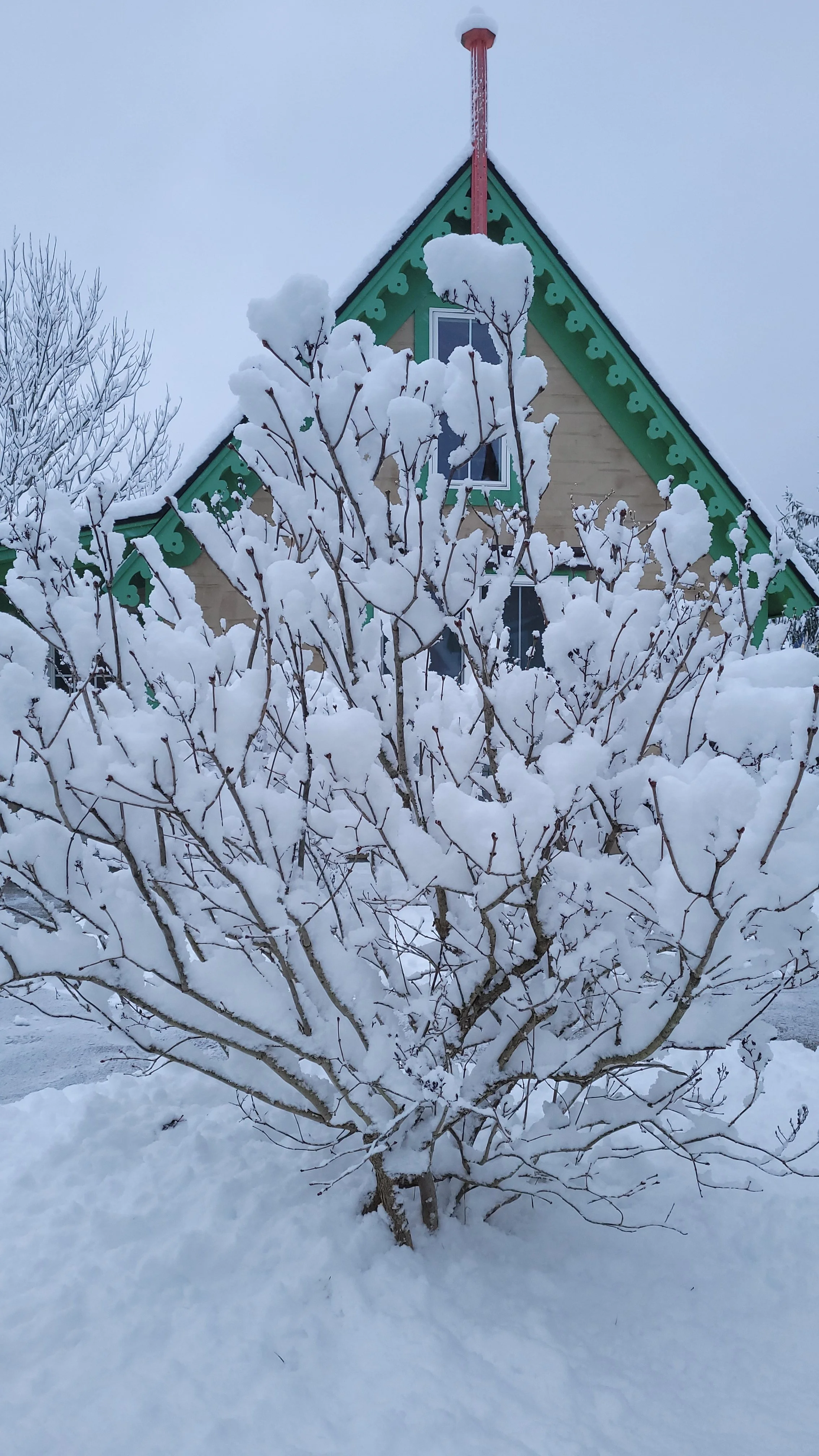 Barbara Roth-Chapman 4.jpg