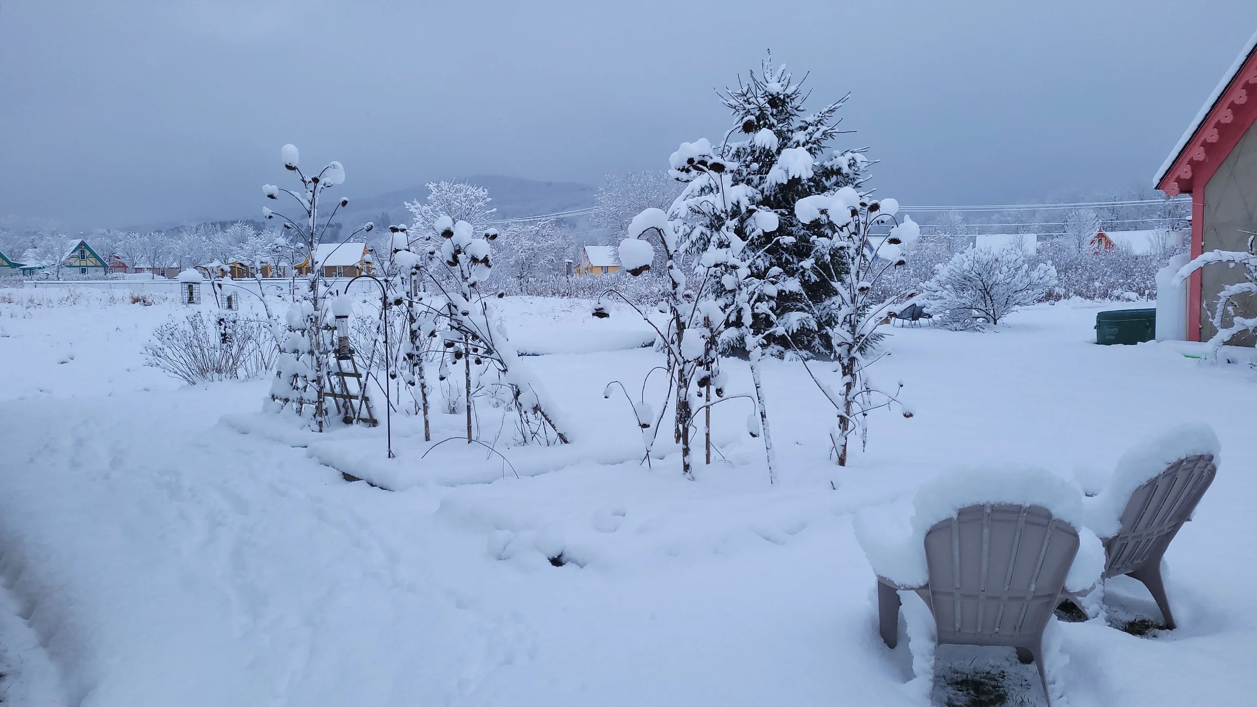 Barbara Roth-Chapman 5.jpg