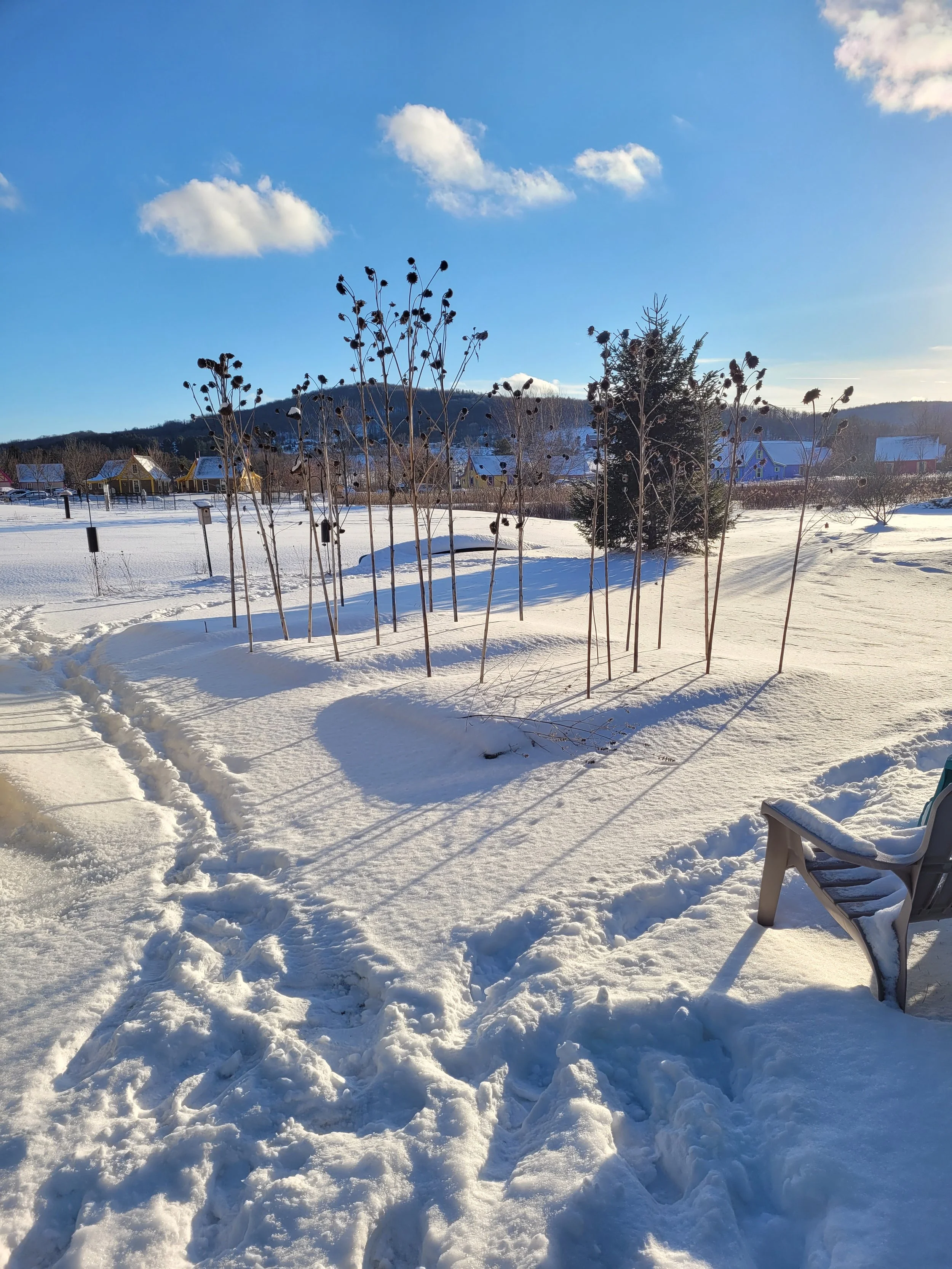 Barbara Roth-Chapman 6.jpg