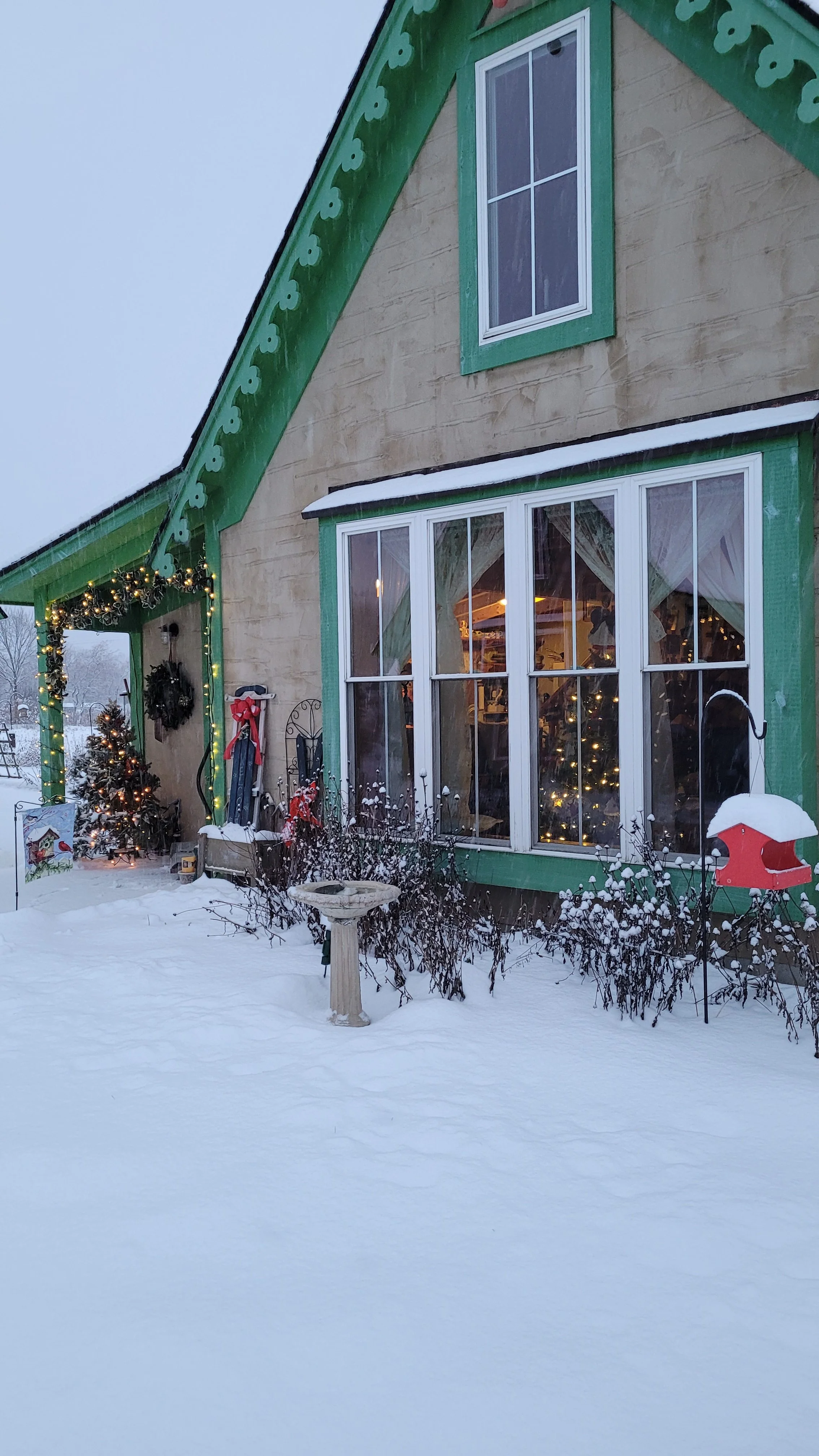 Barbara Roth-Chapman 8.jpg