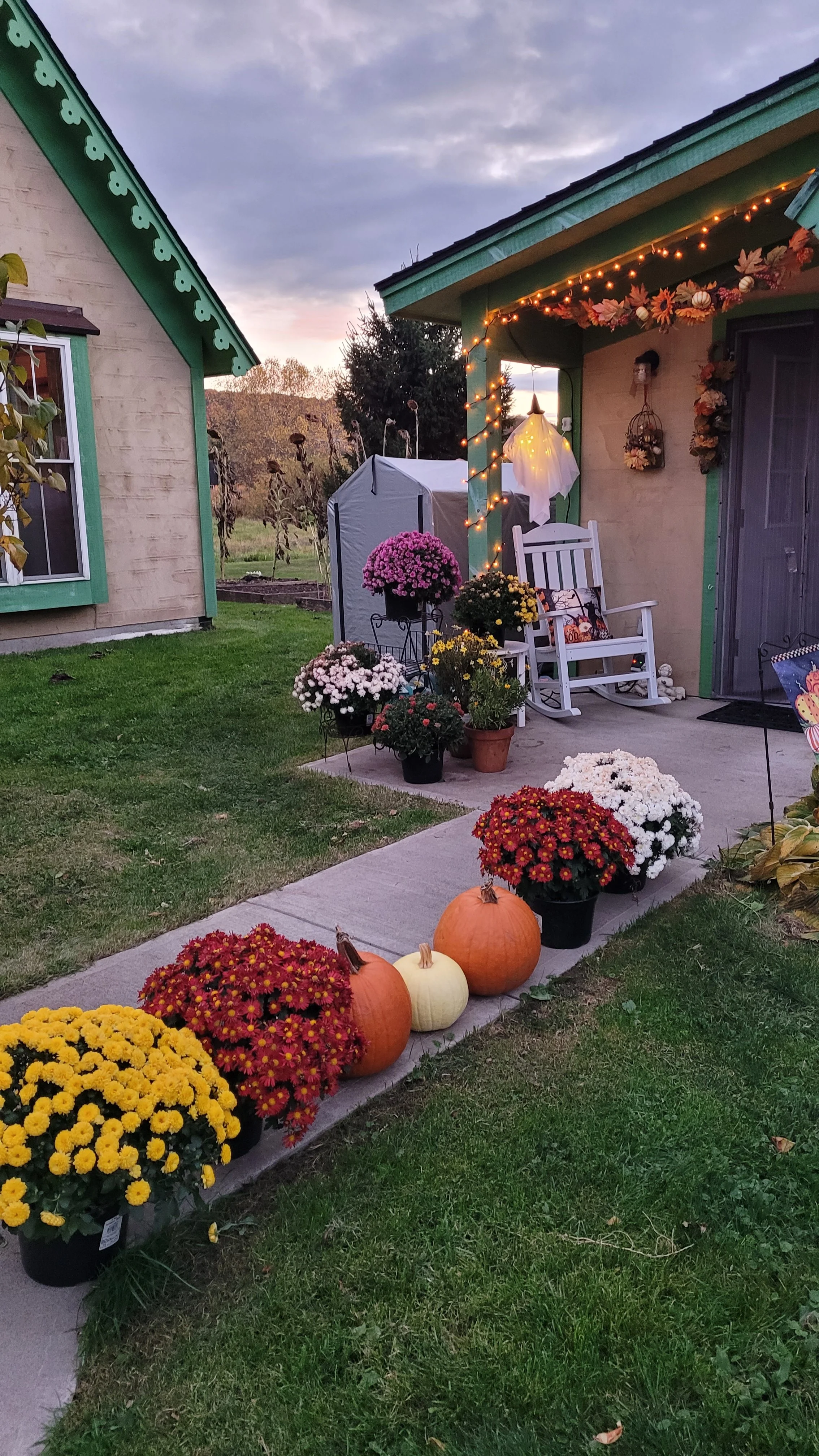 Barbara Roth-Chapman 10.jpg