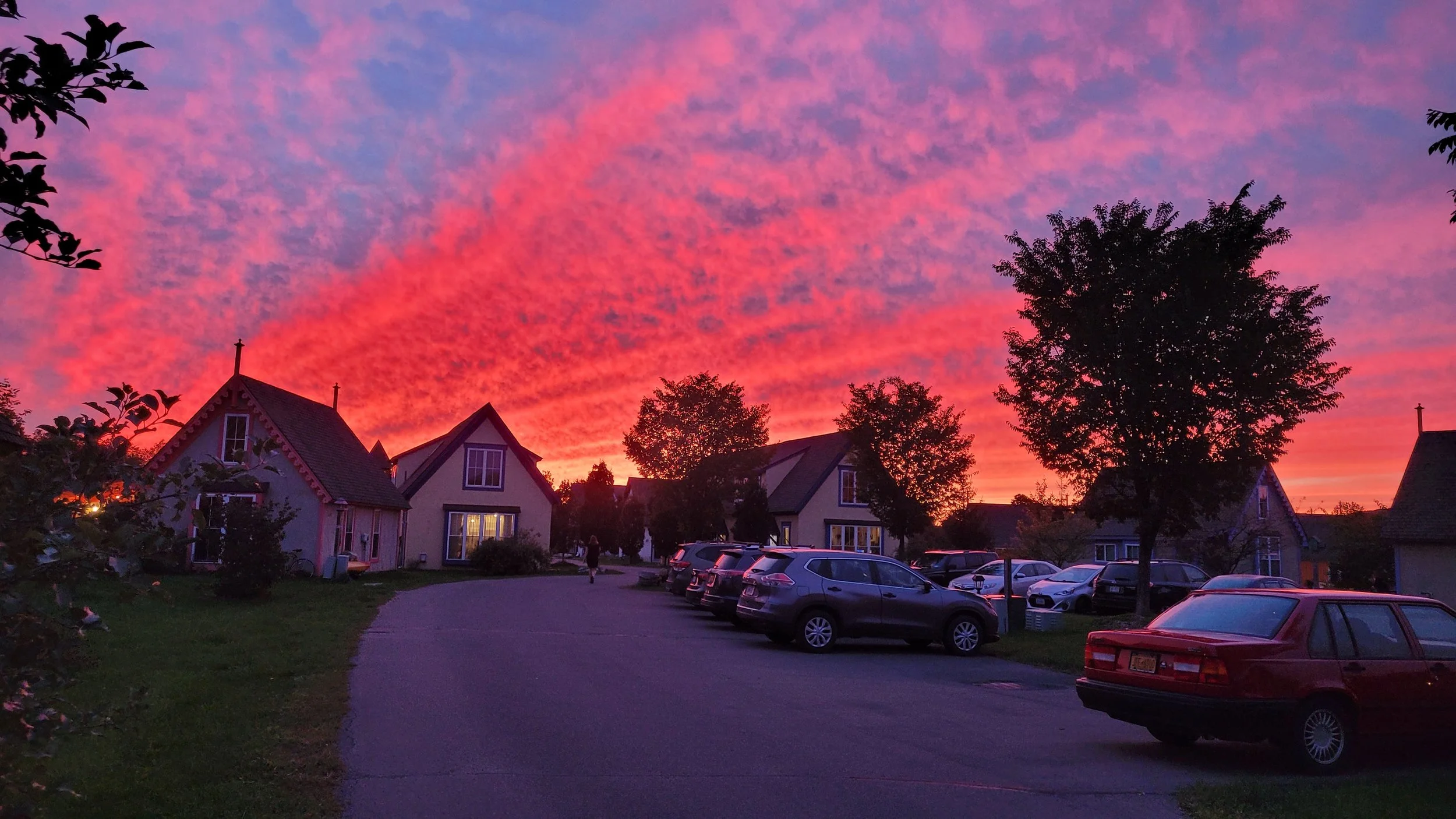 Barbara Roth-Chapman 12.jpg