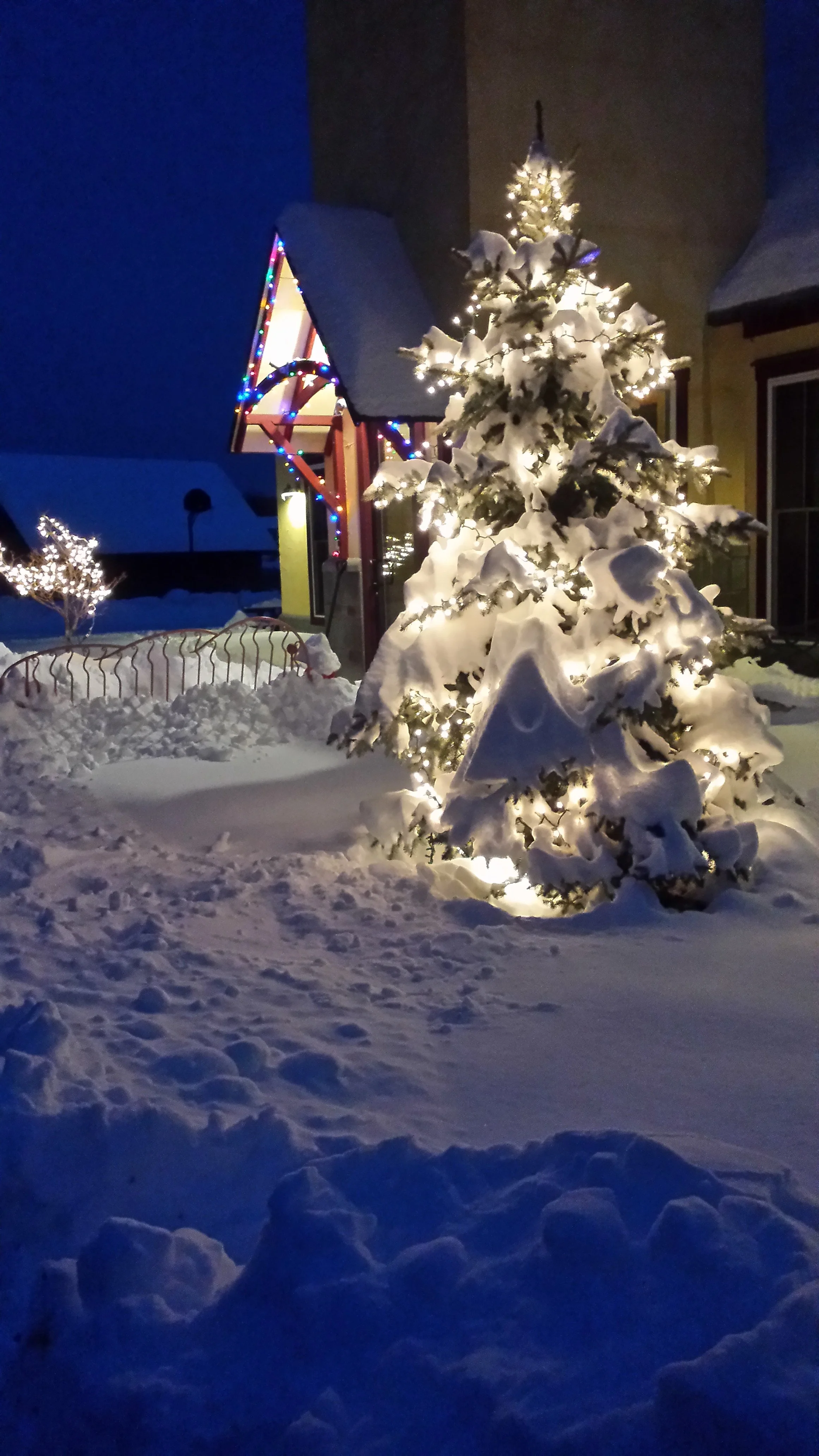 Barbara Roth-Chapman 14.jpg