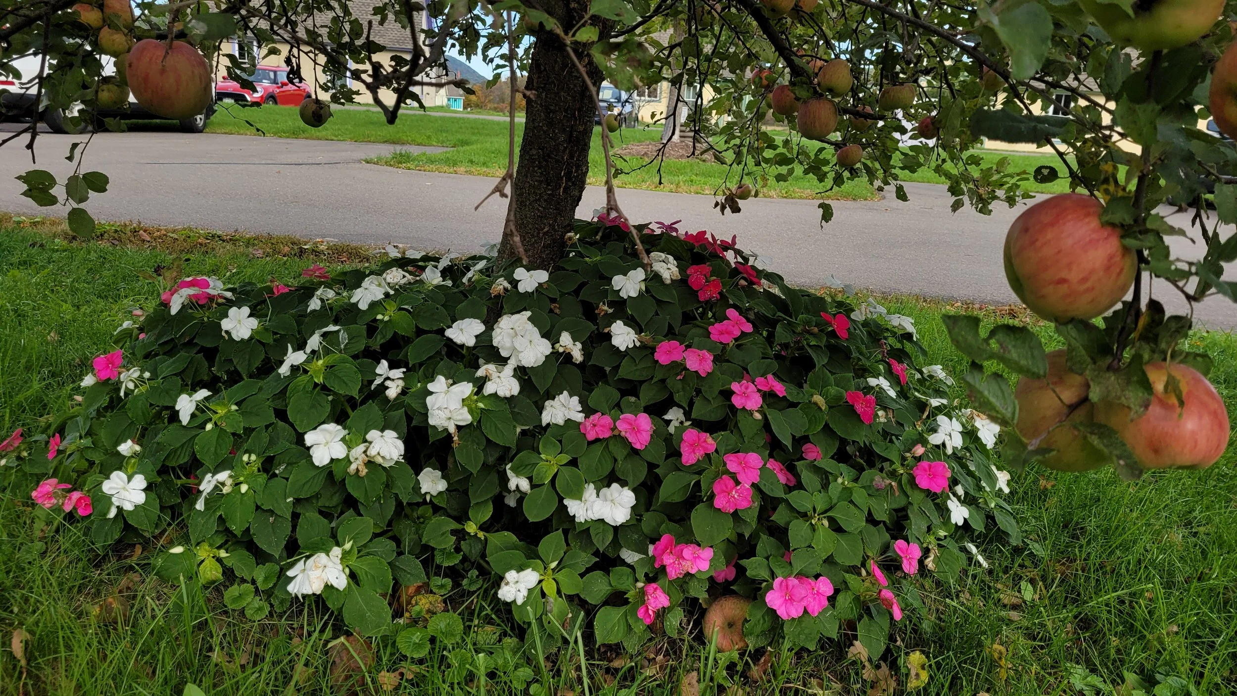 Barbara Roth-Chapman 16.jpg