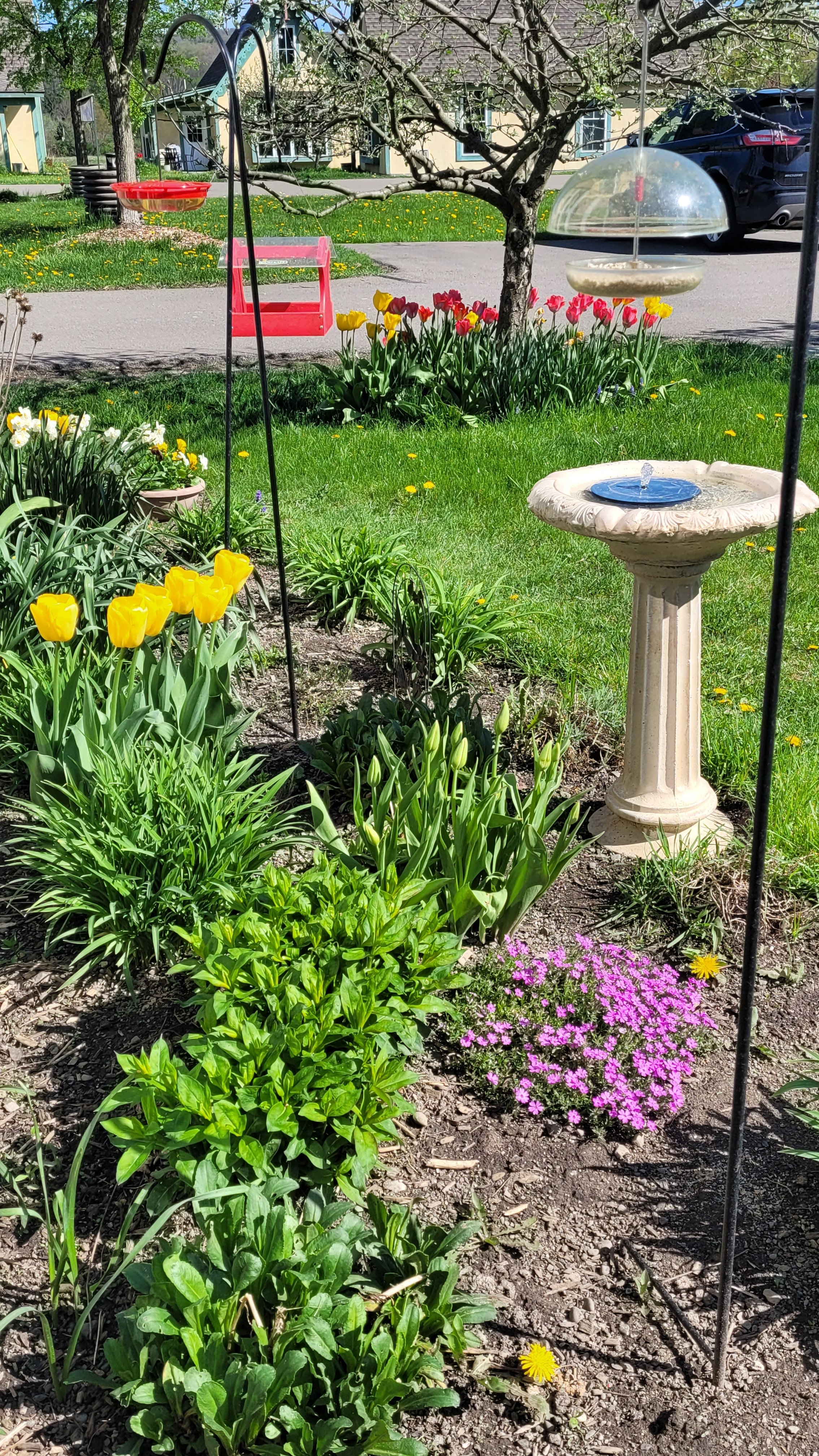 Barbara Roth-Chapman 17.jpg