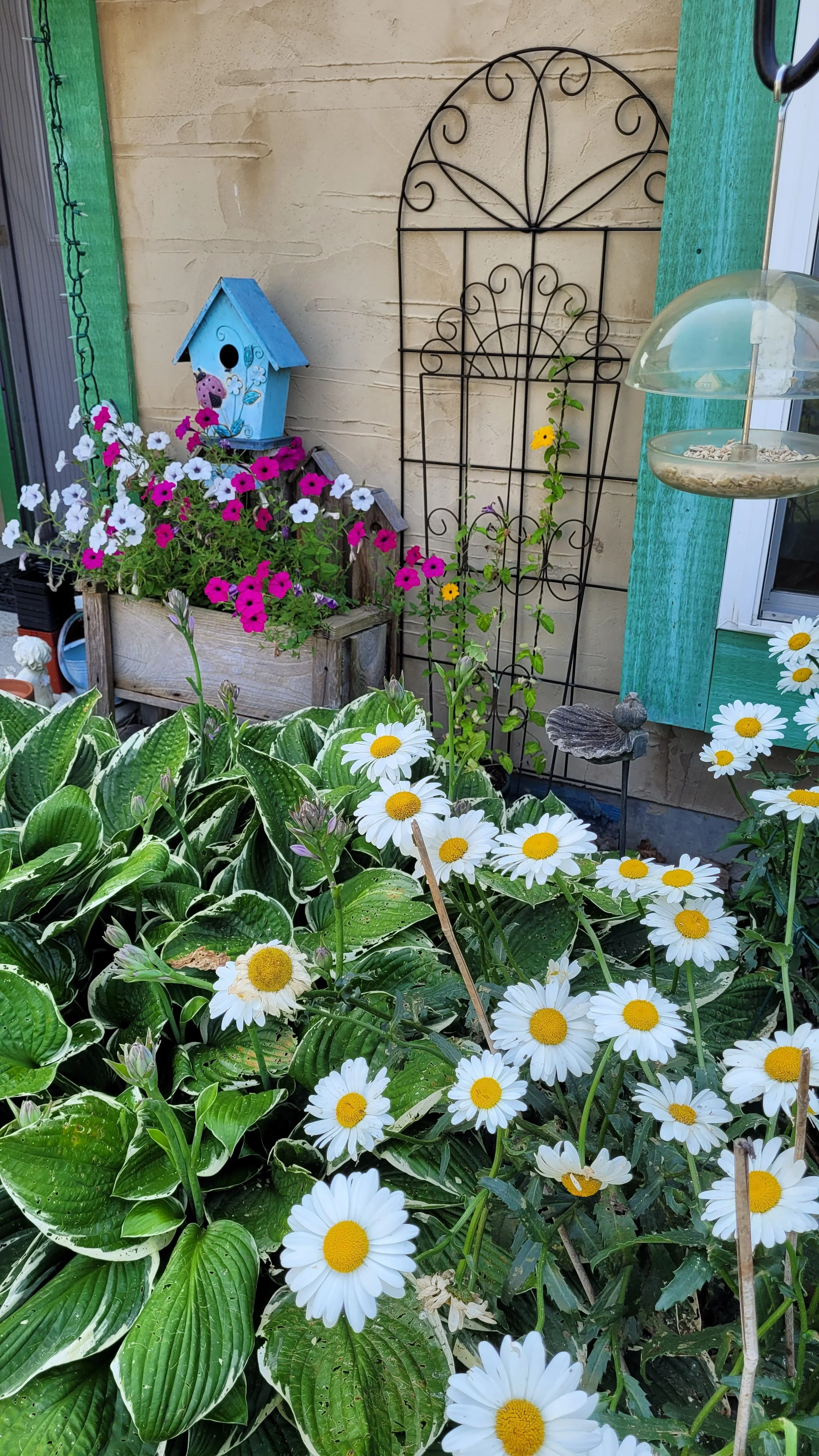 Barbara Roth-Chapman 19.jpg