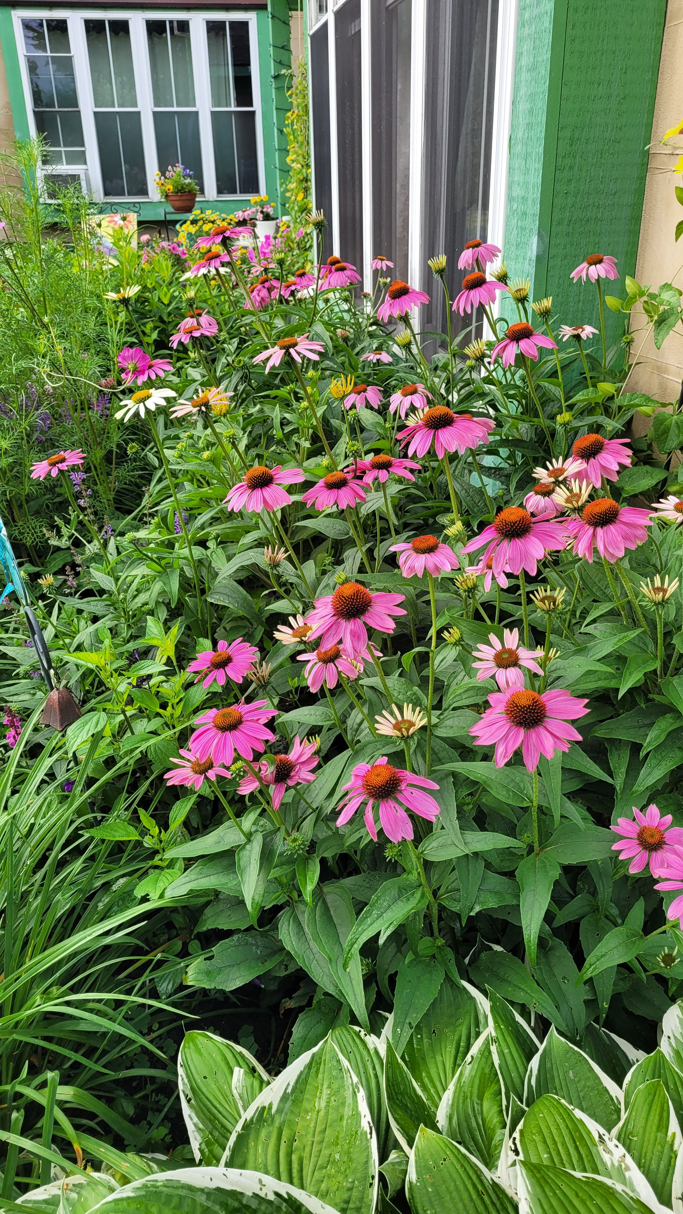 Barbara Roth-Chapman 20.jpg