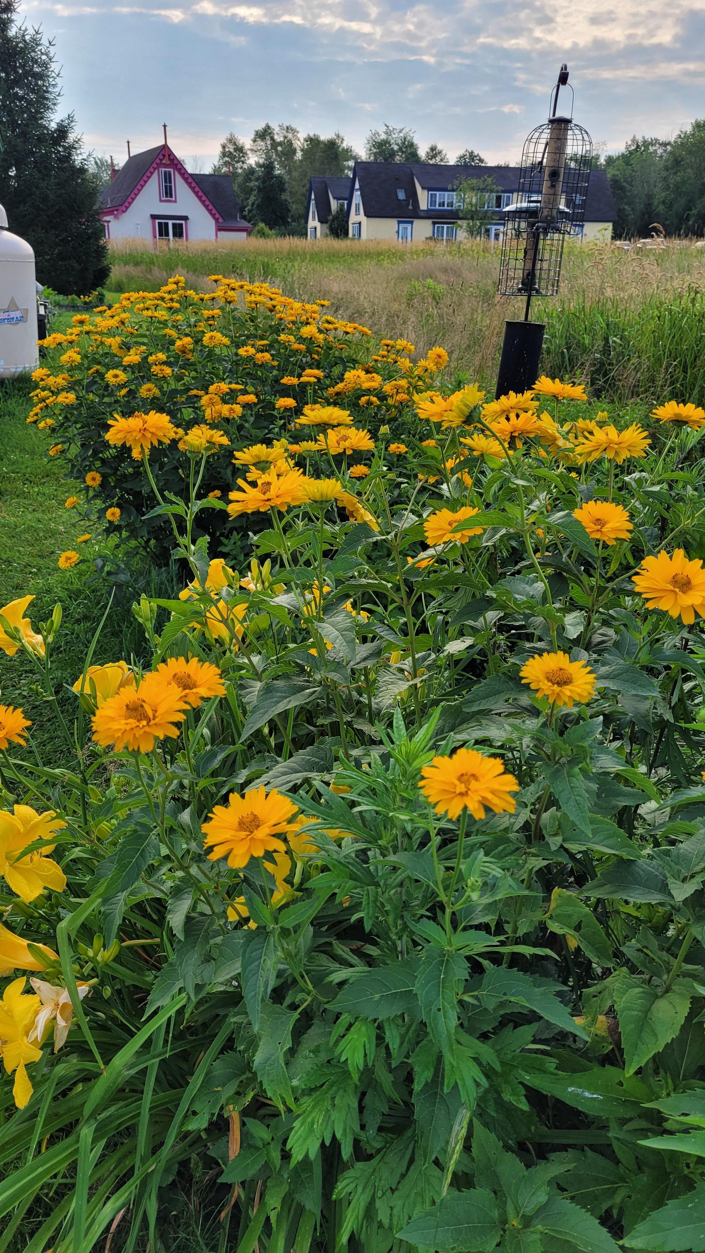 Barbara Roth-Chapman 23.jpg